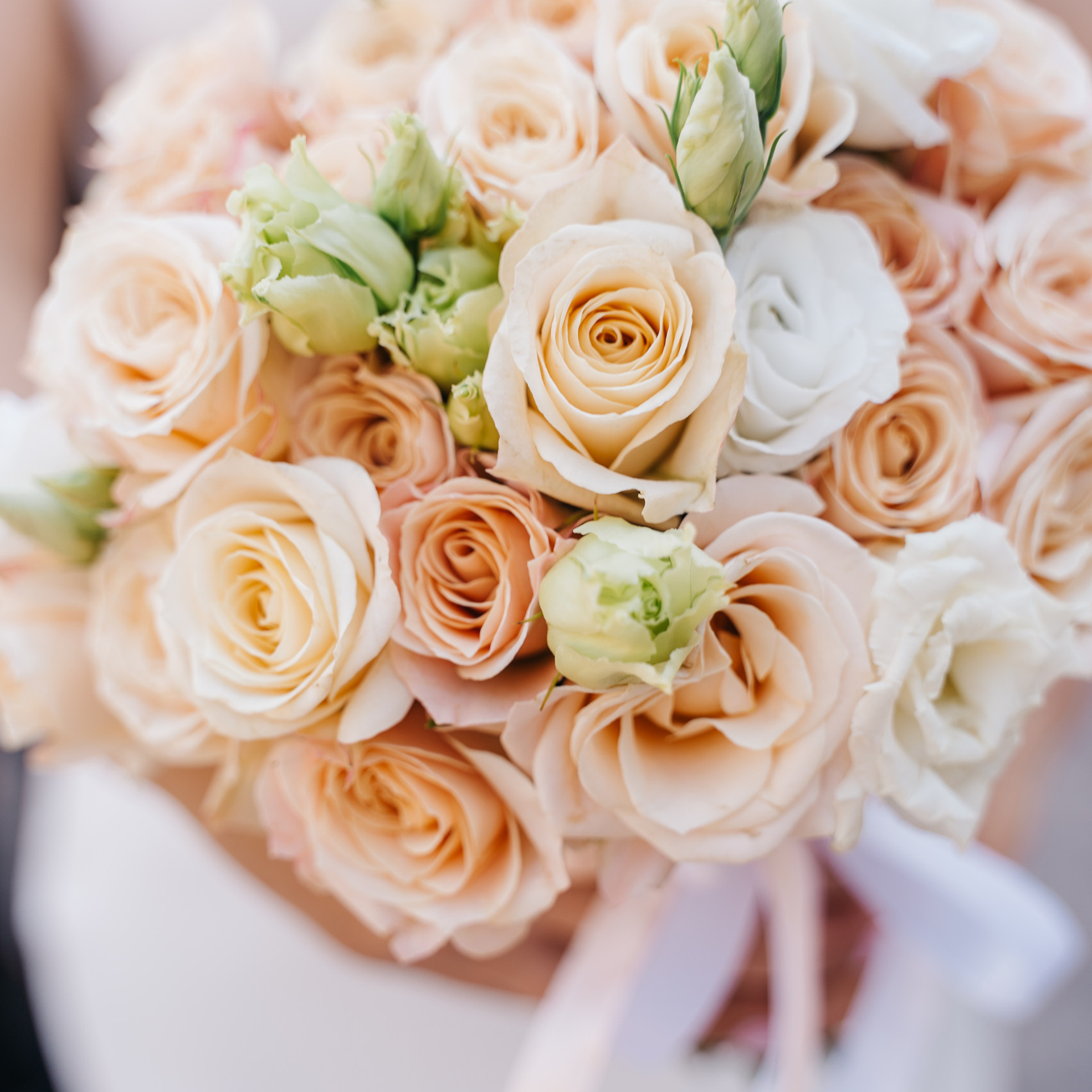 Отзывы о свадебном фотографе Наталье ФЕДькиной. Свадебный фотограф — Наталья Фед СПб/Москва