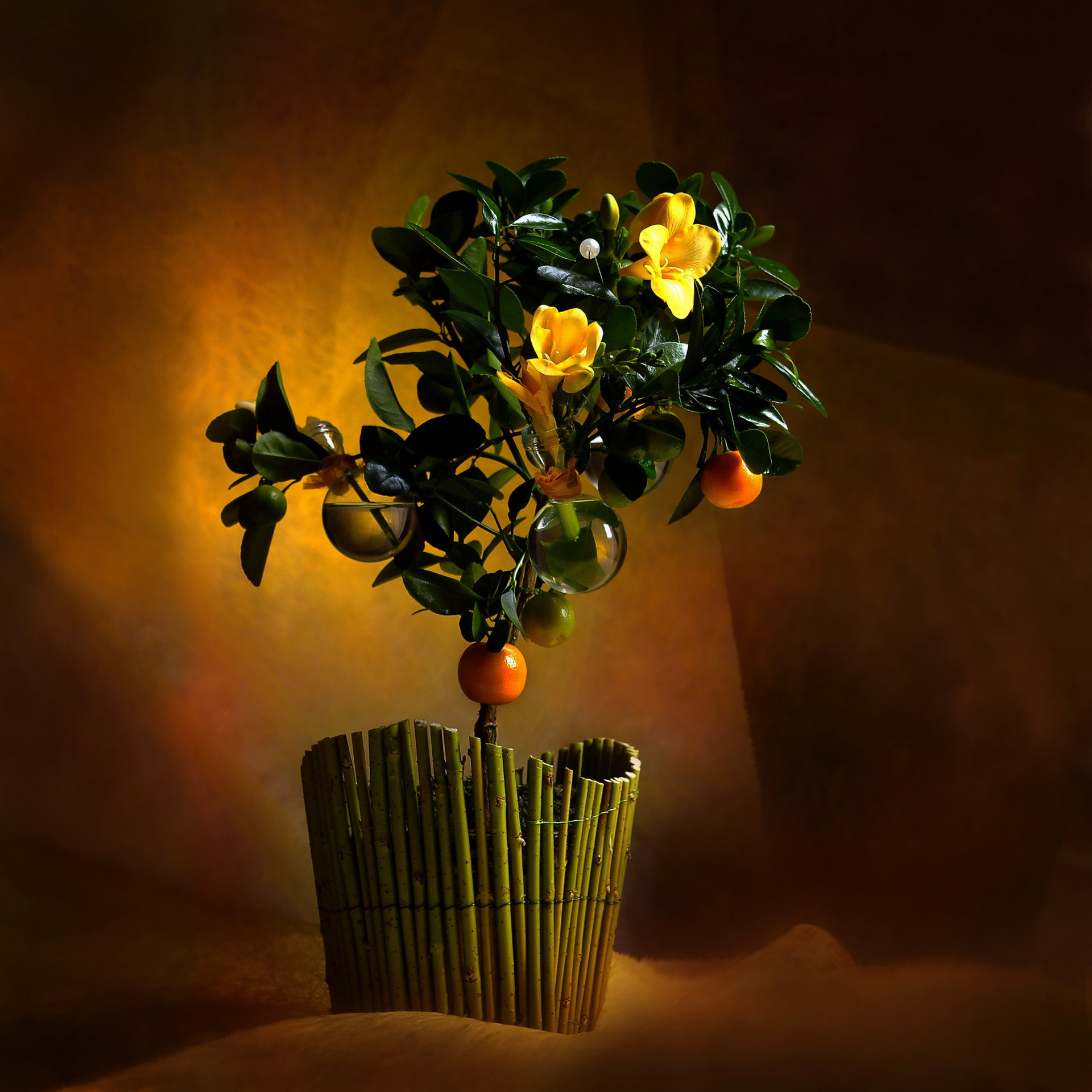 съемки для рекламной компании флористов. Новогодний календарь.,продается,купить, ПРЕДМЕТНЫЙ ФОТОГРАФ мОСКВА, съёмка стекла, foto.ru, photo, дизайн студии, сделать фото, реклама фото, имиджевая съемка