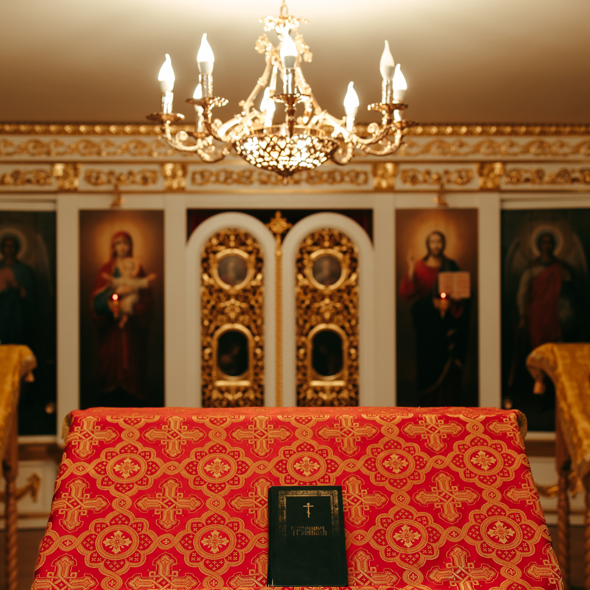 Отзывы. Семейный фотограф Яна Радюхина