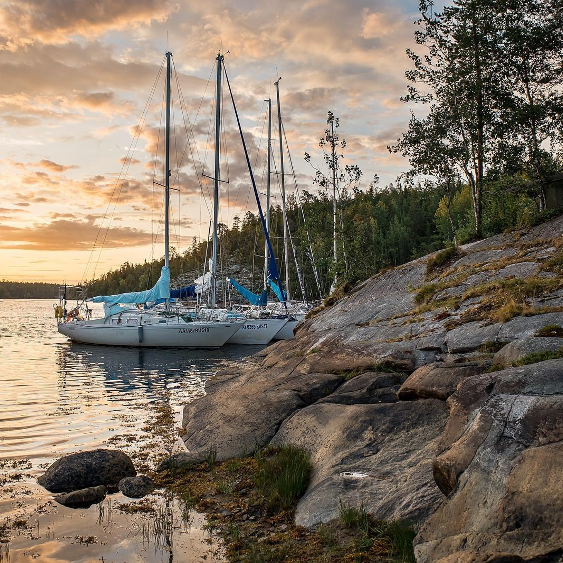 Отзывы. Фотограф Ольга Че