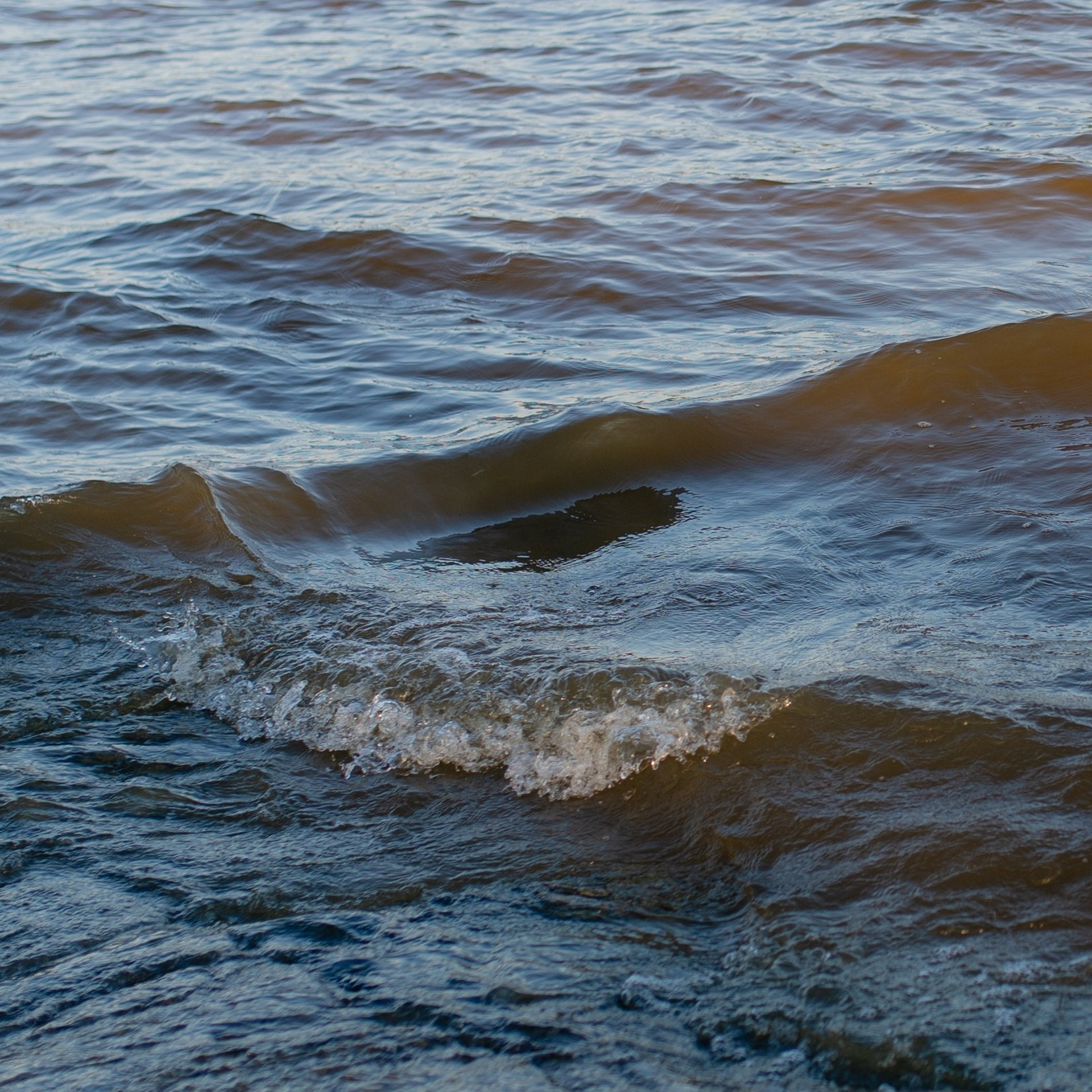 Индивидуальная. Профессиональный фотограф и видеограф в Сортавала Ася Легконогова