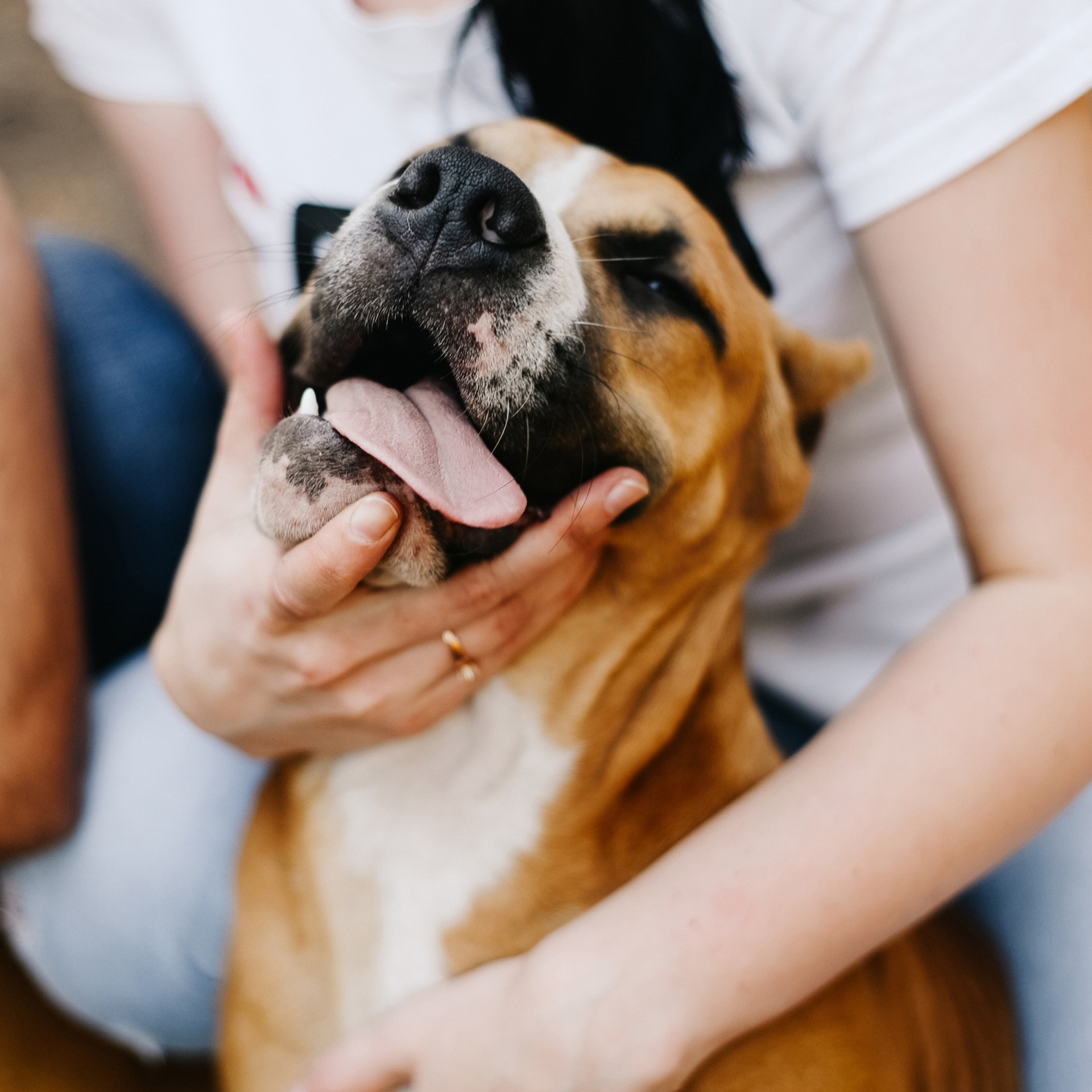 Отзывы. Свадебный и семейный фотограф Ростов-на-Дону Евгения Борисова