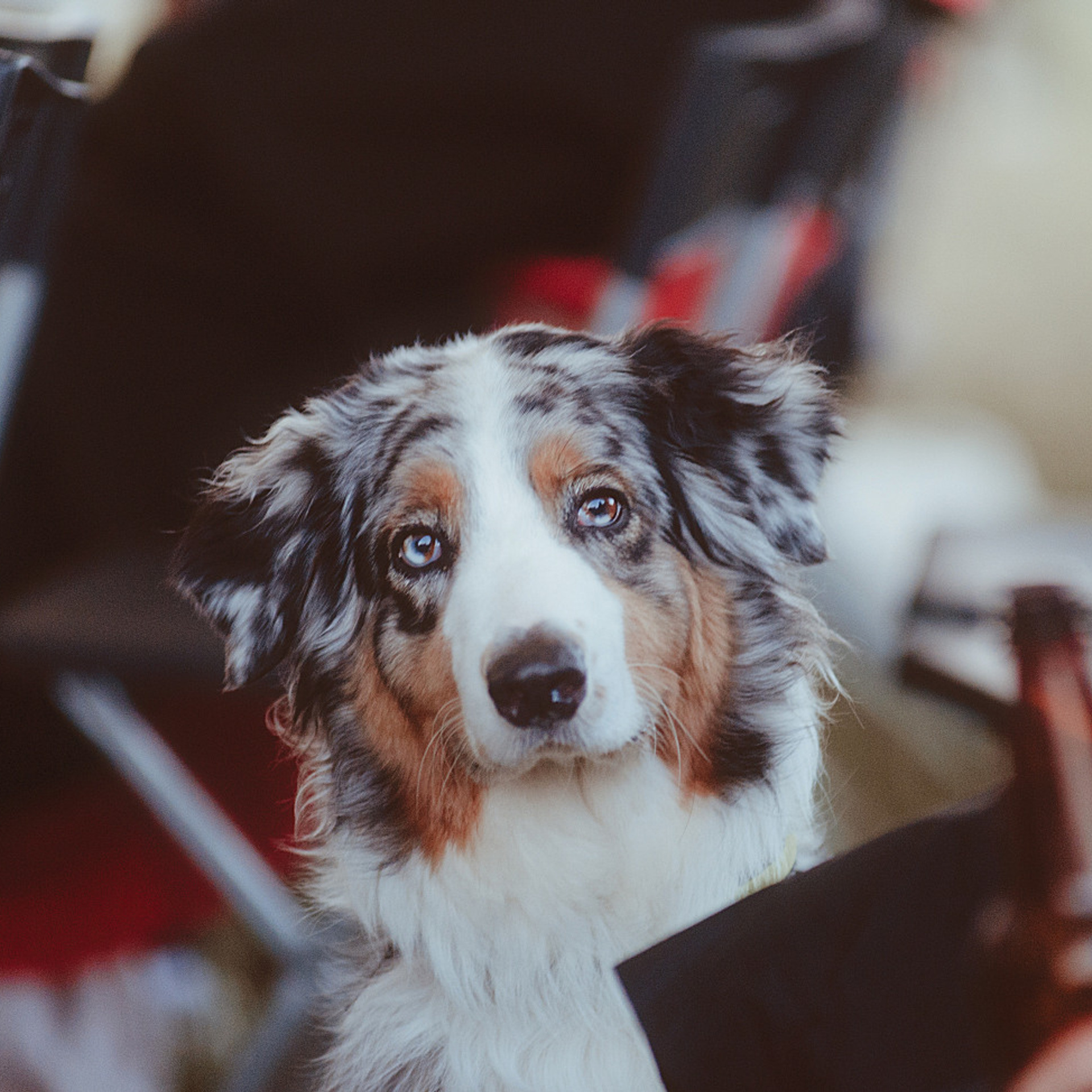 Былинный Берег 2023