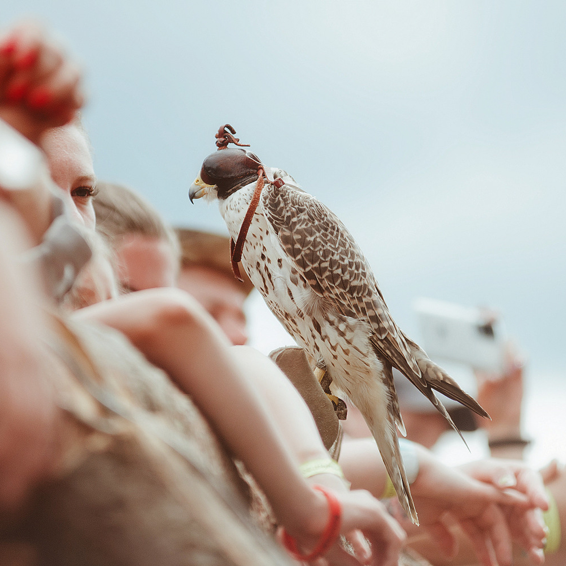 Былинный Берег 2023