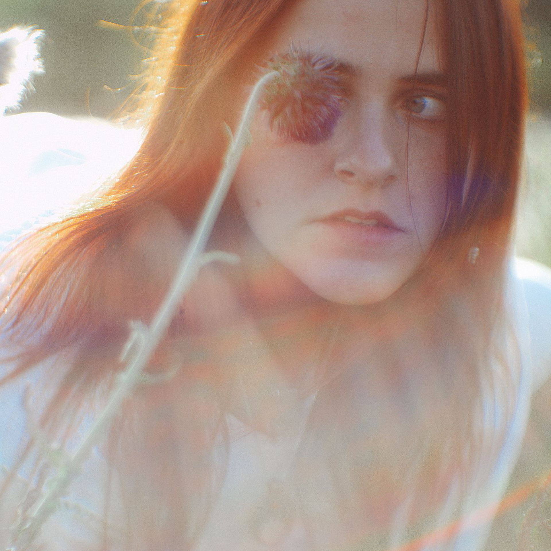 Былинный берег в картинках