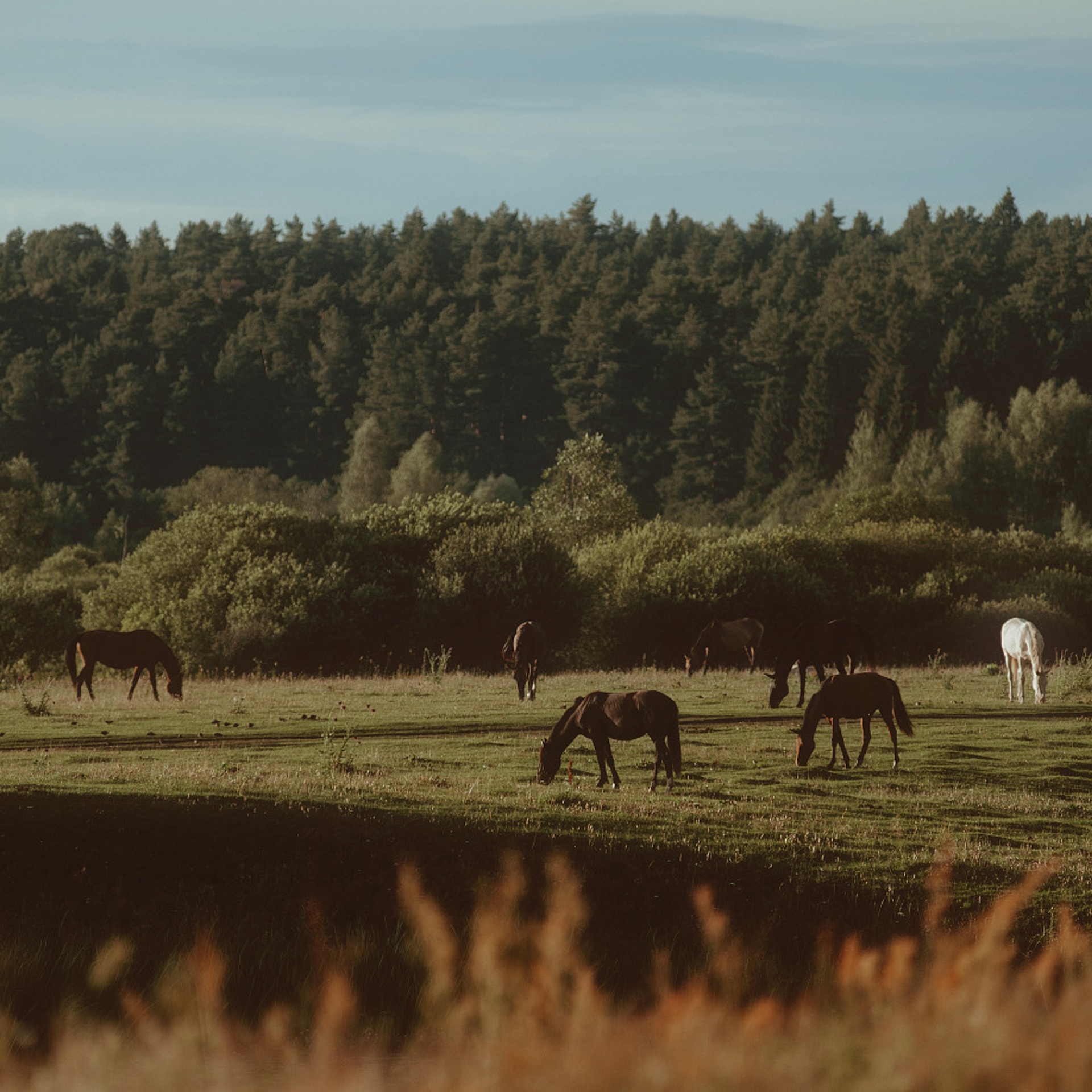 Былинный Берег 2023