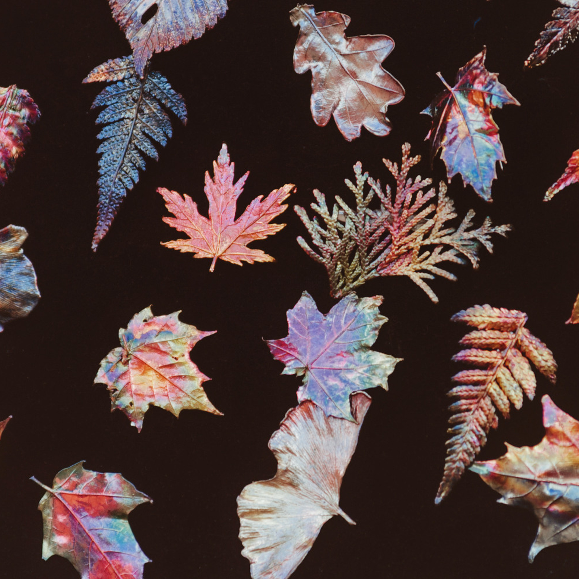 Былинный Берег 2023