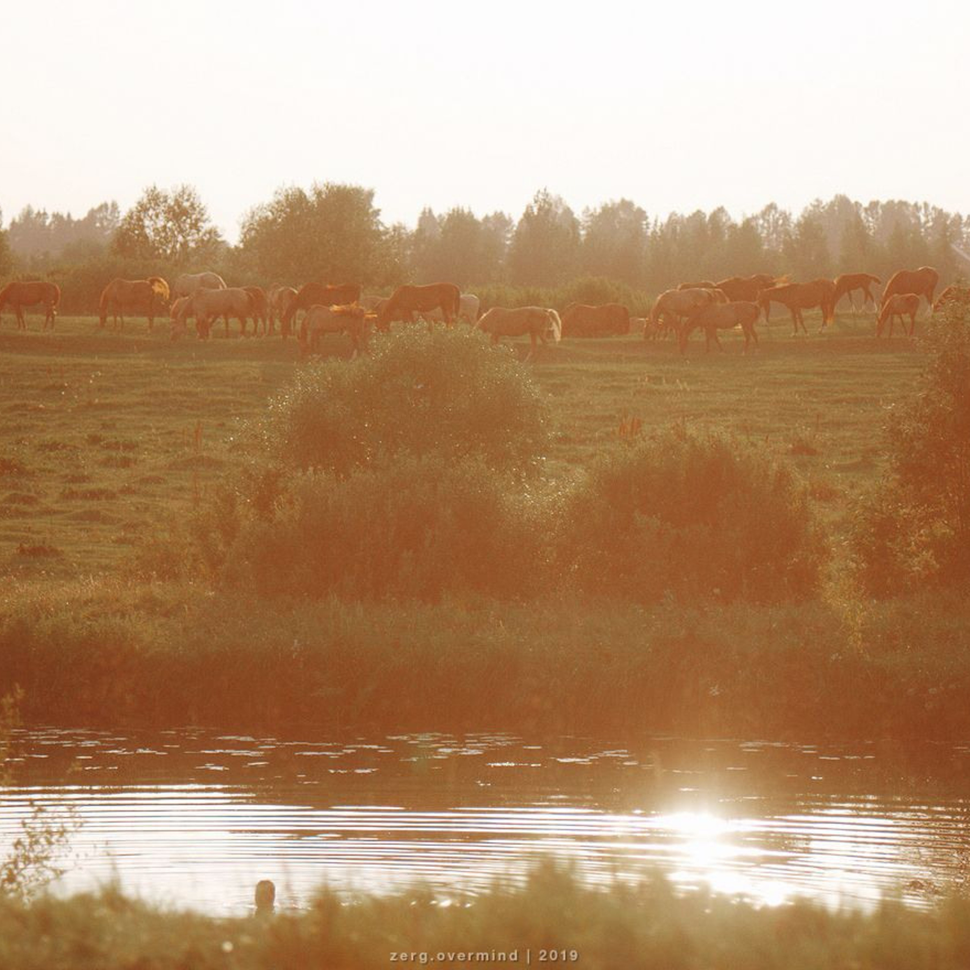 Былинный берег в картинках
