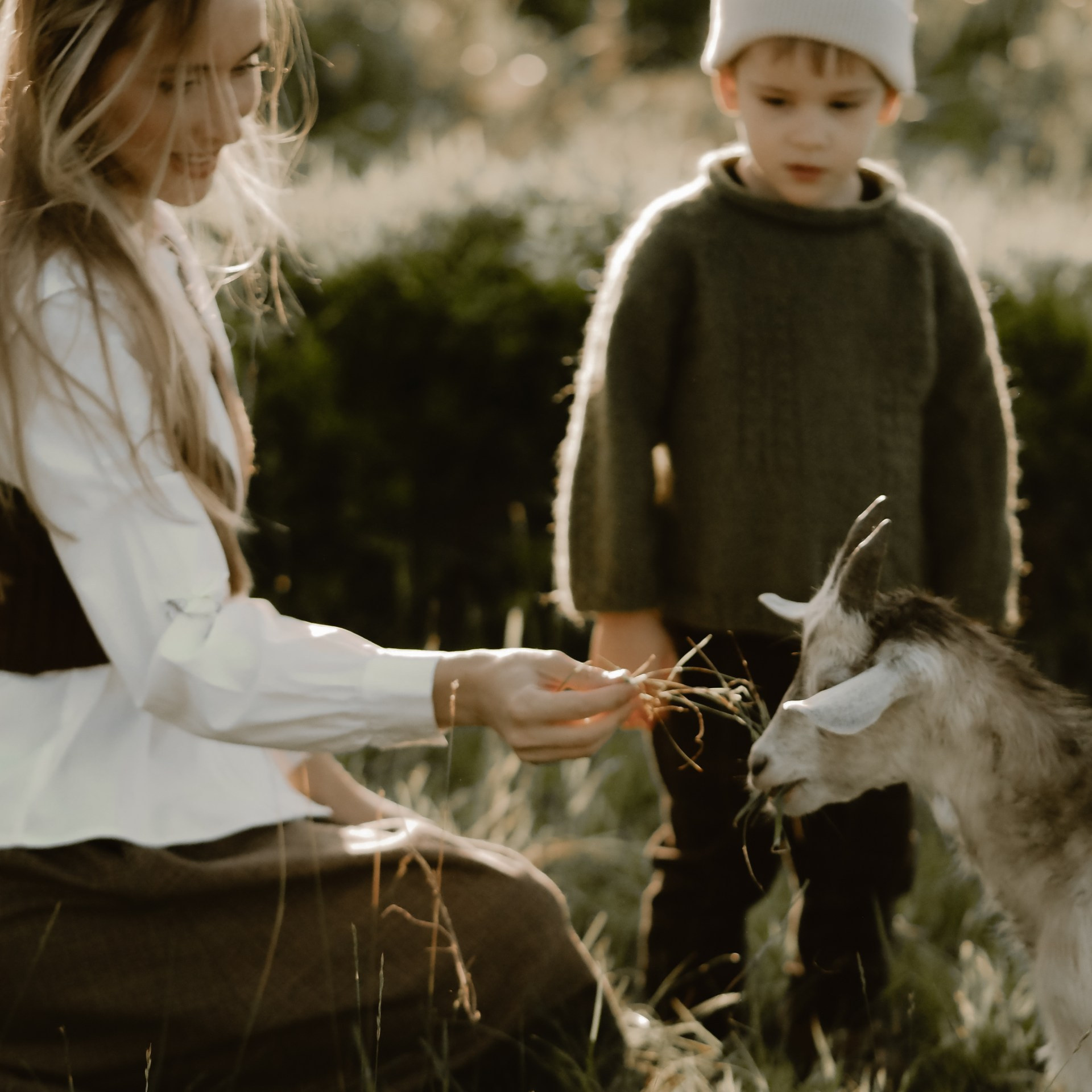 Холмы на закате