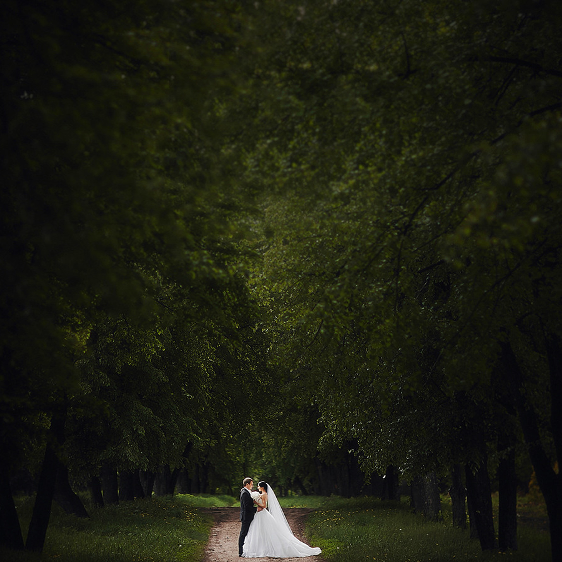 Наставничество. Фото и видео контент в Сочи, фотограф, видеограф Сочи