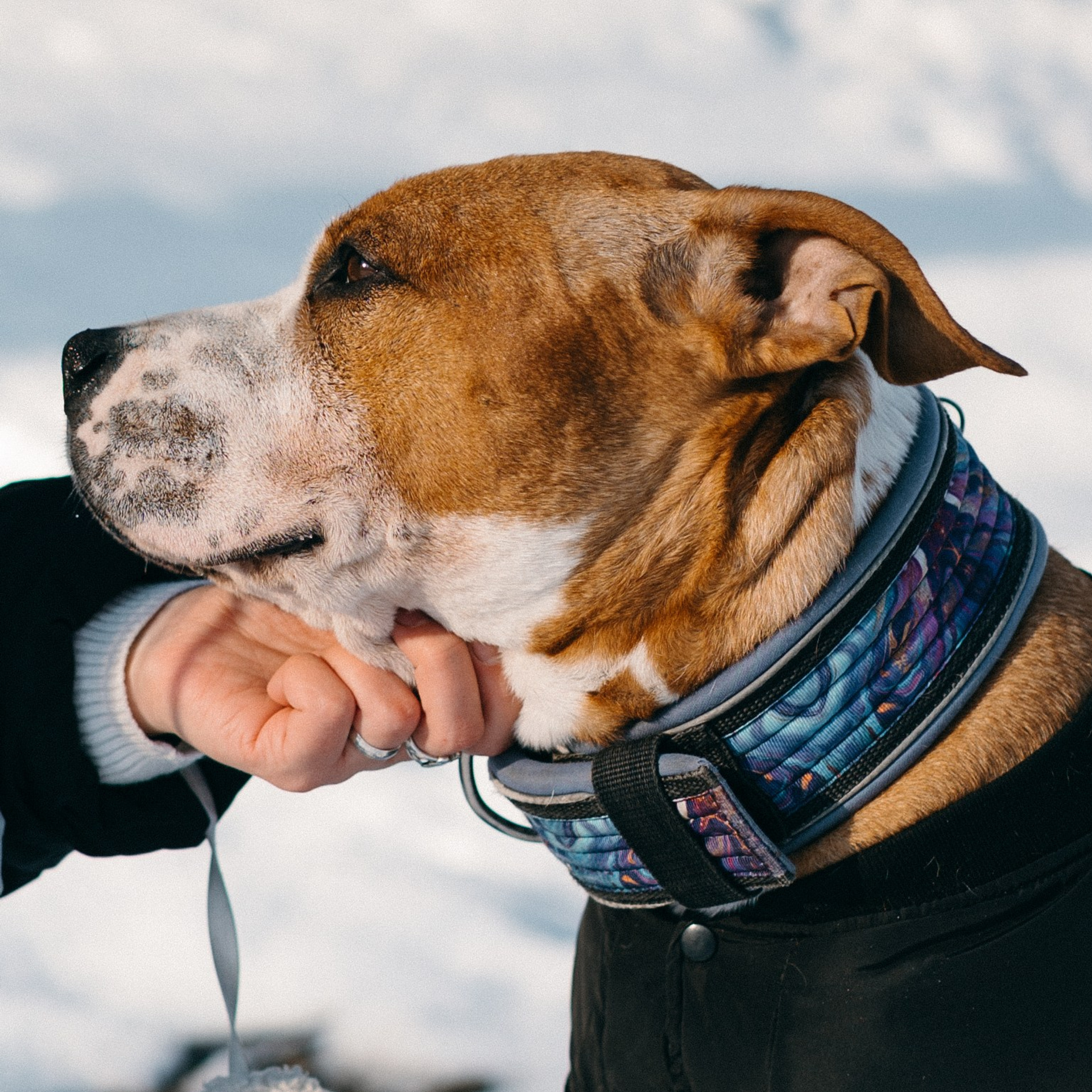 САМЫЙ ВЕРНЫЙ ДРУГ. Фотограф в Воронеже Ксения Князева