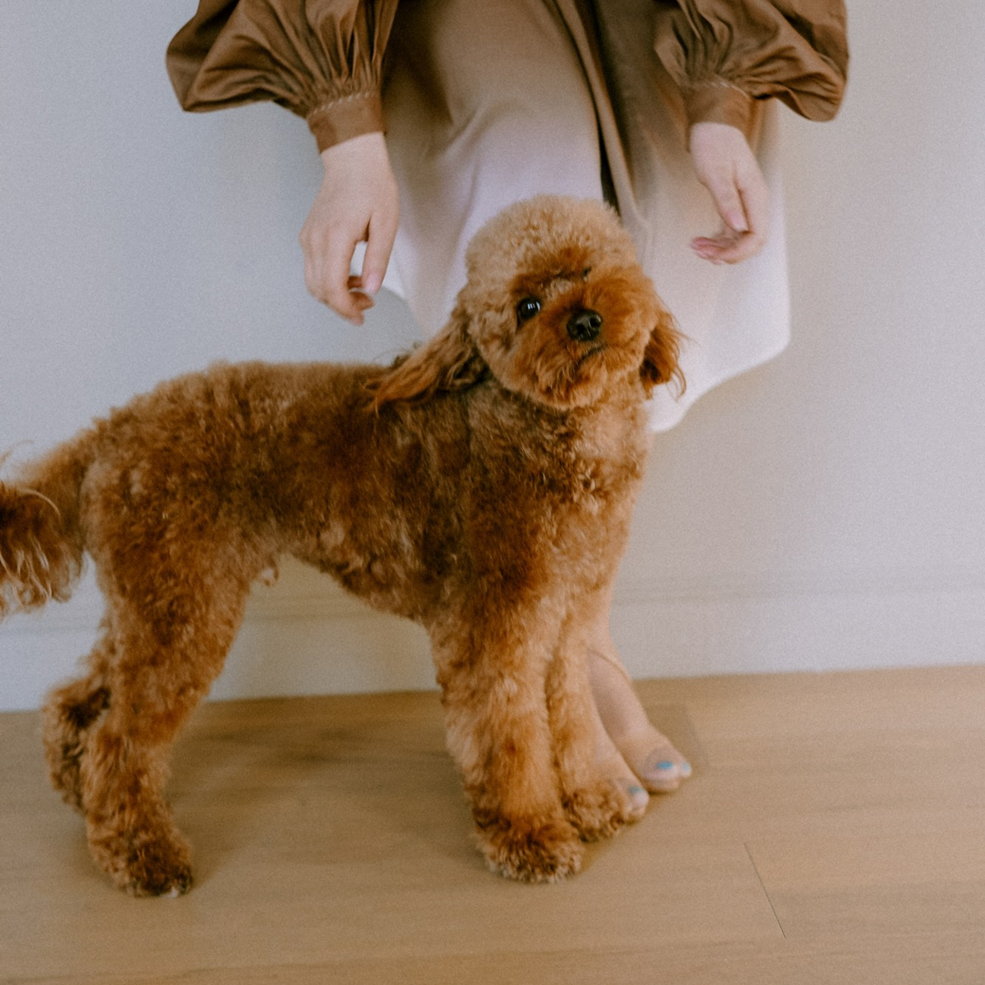 Юля и Тедди