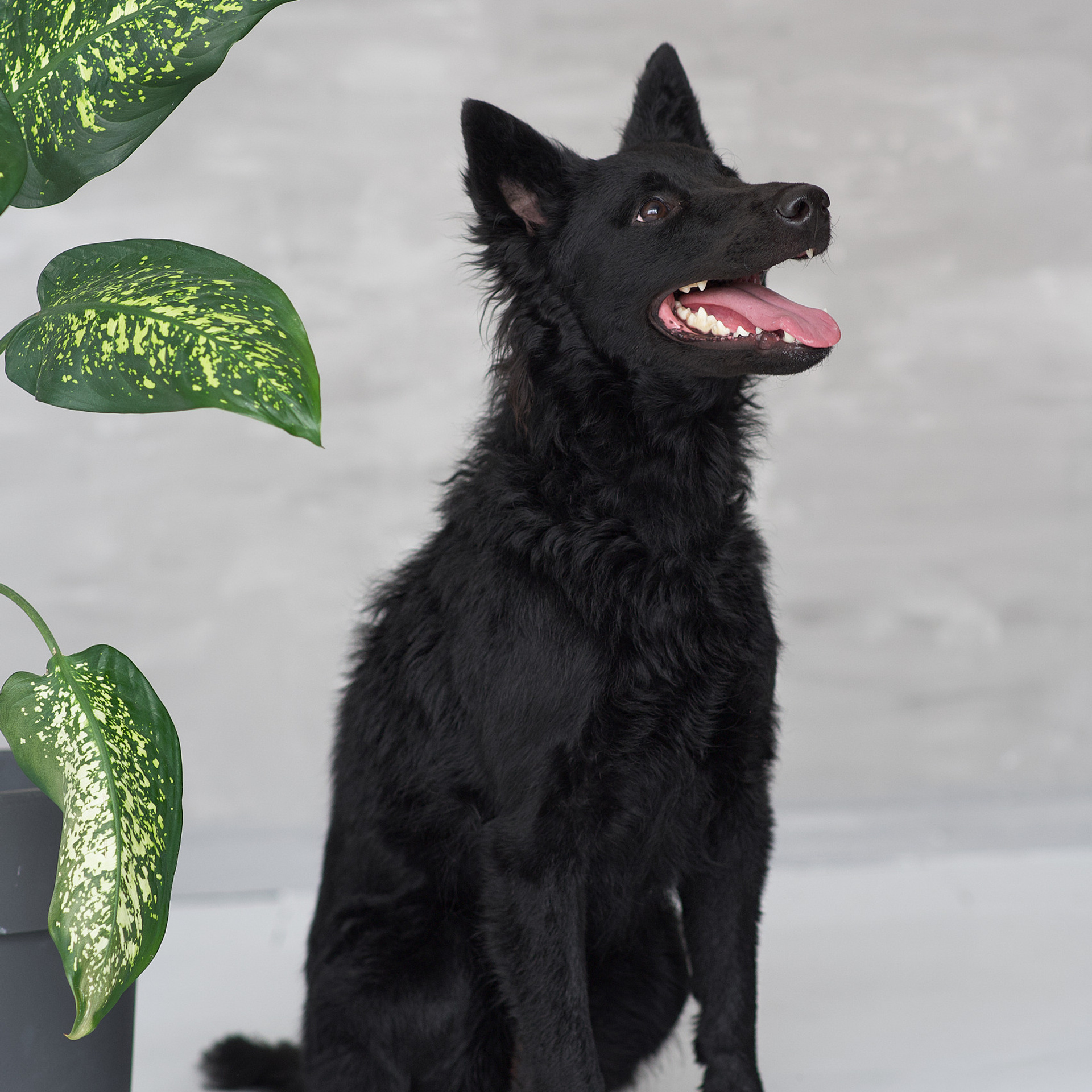 Отзывы. Фотостудия Studio419 в Петергофе. Пространство для творчества