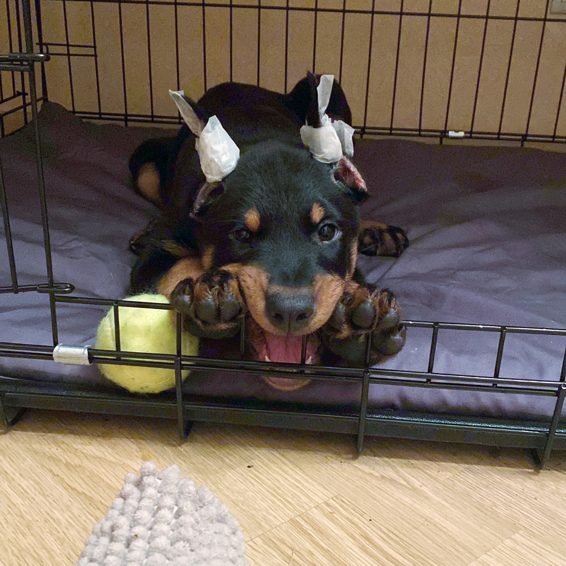 Отзывы. Фотостудия Studio419 в Петергофе. Пространство для творчества