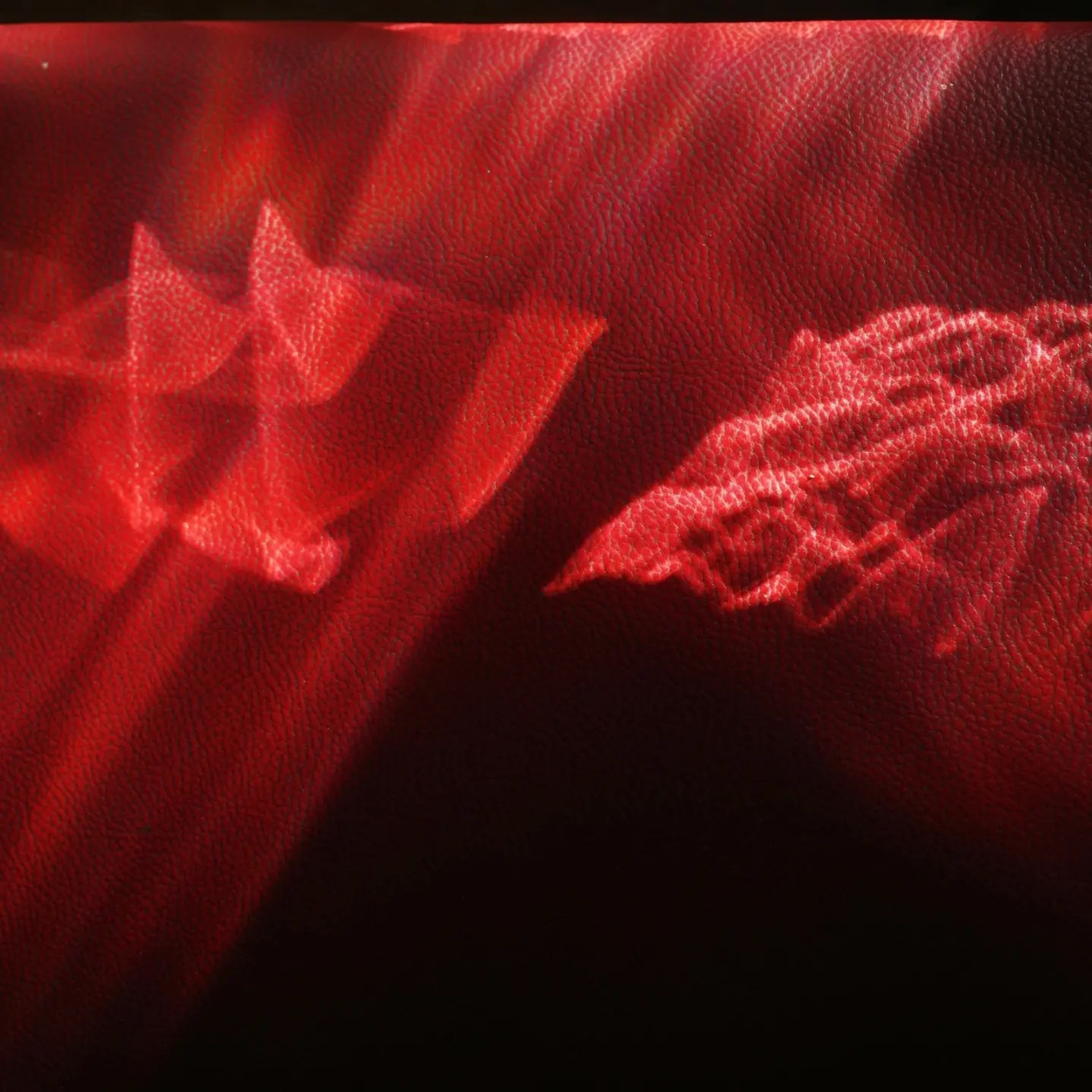 Отзывы. Фотограф, психолог в Москве, Жуковском, Раменском Галина Майлер