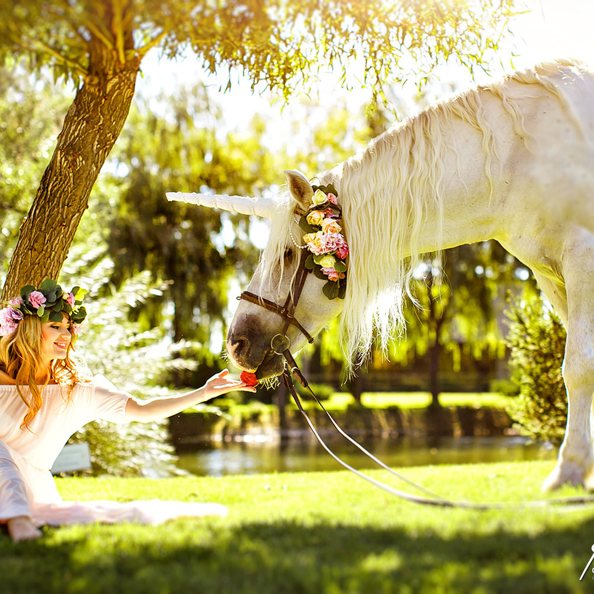 Как выбрать свадебного фотографа?. Свадебный и семейный фотограф в Ростове-на-Дону. Андрей Сайфутдинов