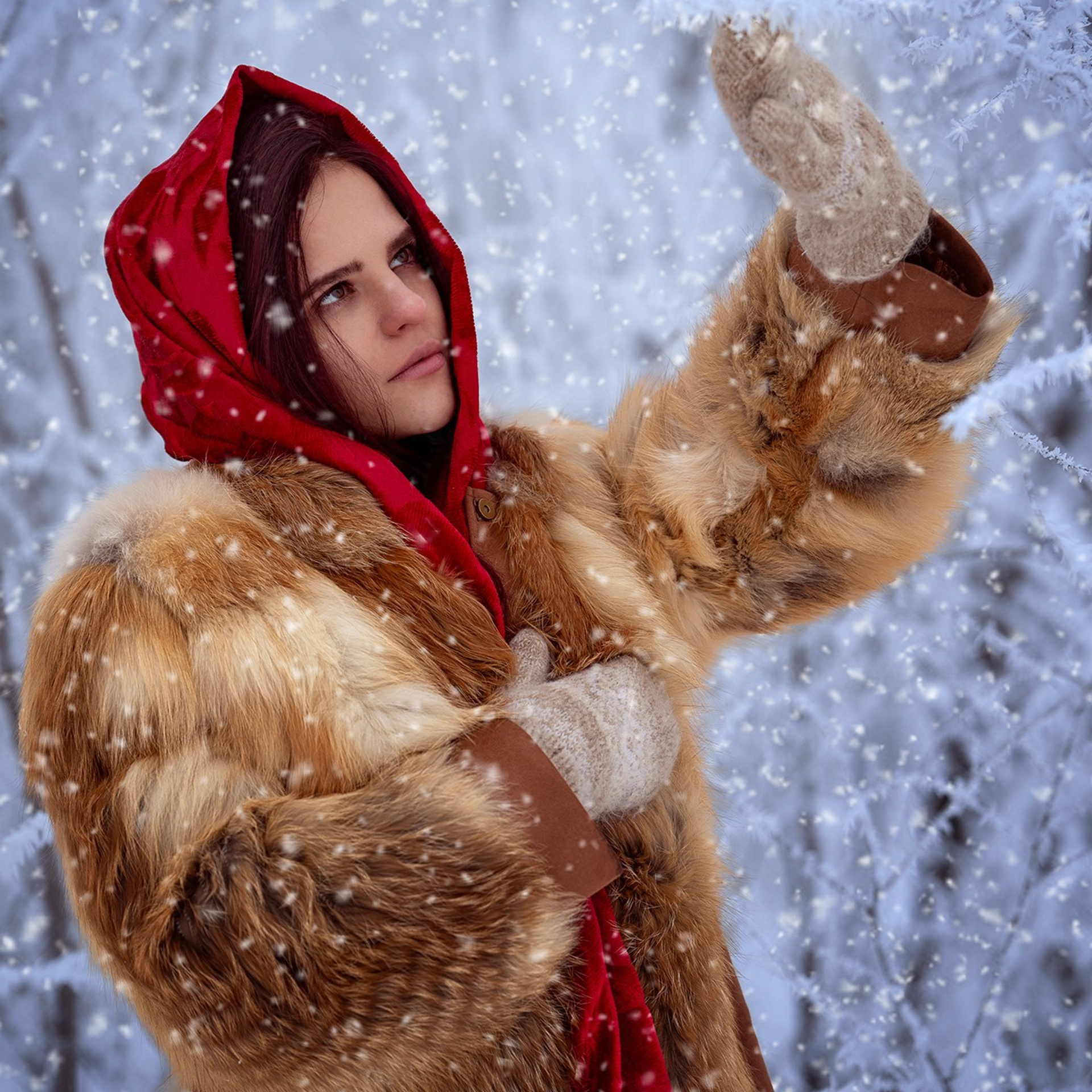 Зимняя сказка