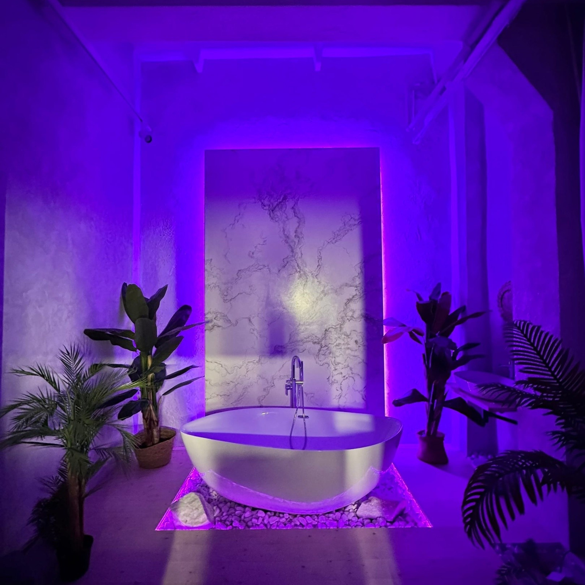 Все фотостудии Липецка. Свадебный и семейный фотограф Виолетта в Липецке