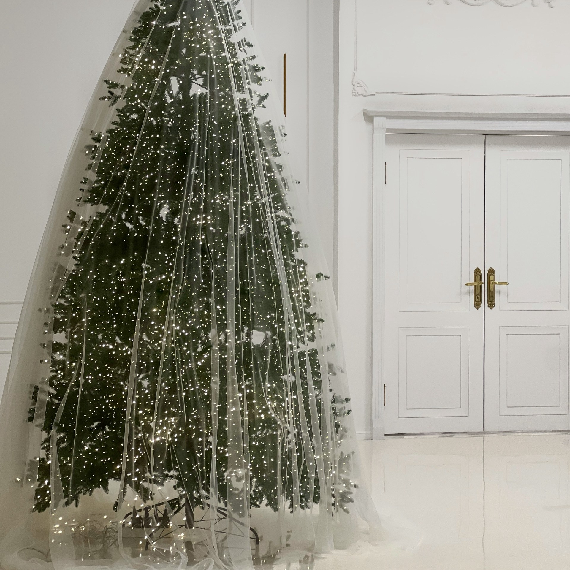 Все фотостудии Липецка. Свадебный и семейный фотограф Виолетта в Липецке