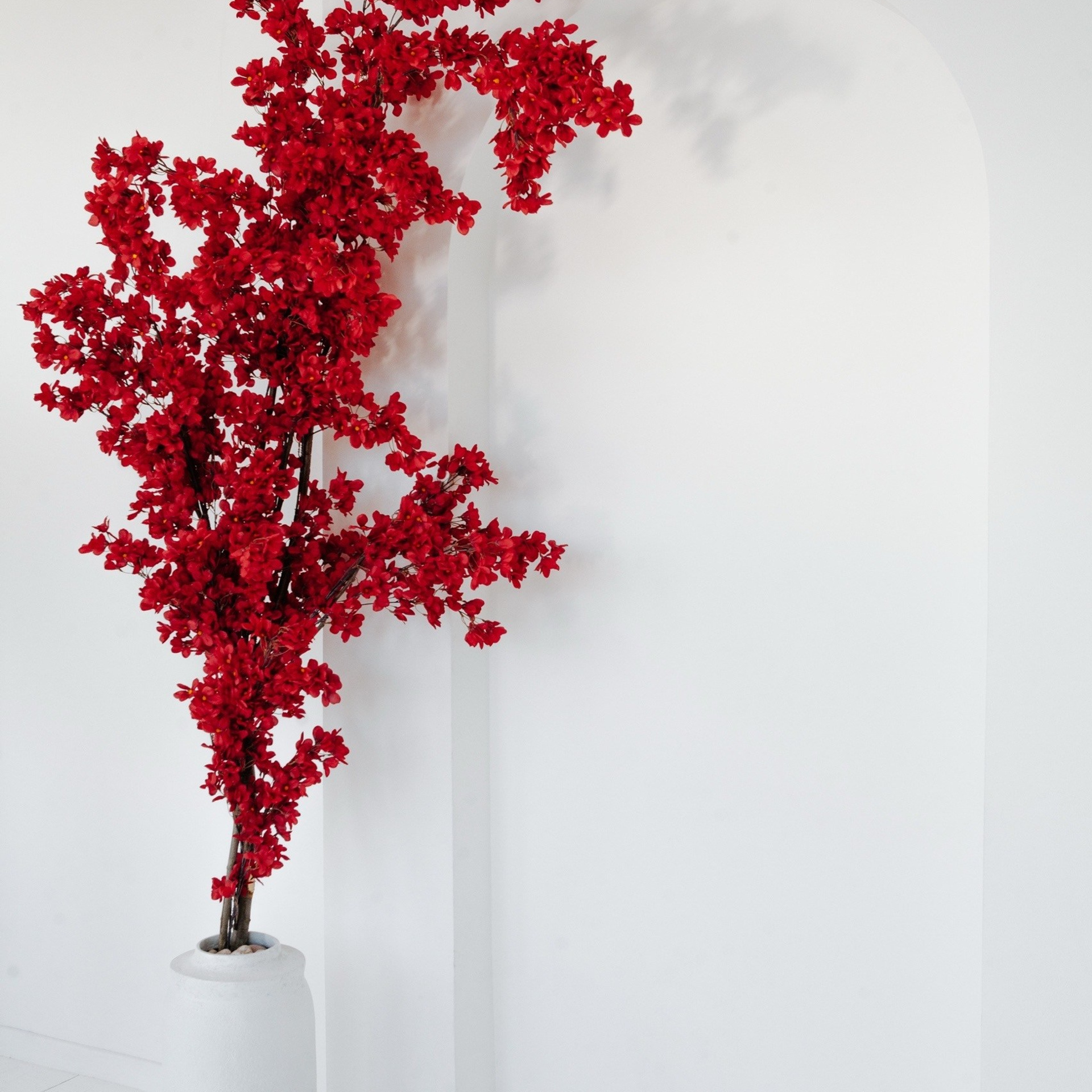 Все фотостудии Липецка. Свадебный и семейный фотограф Виолетта в Липецке