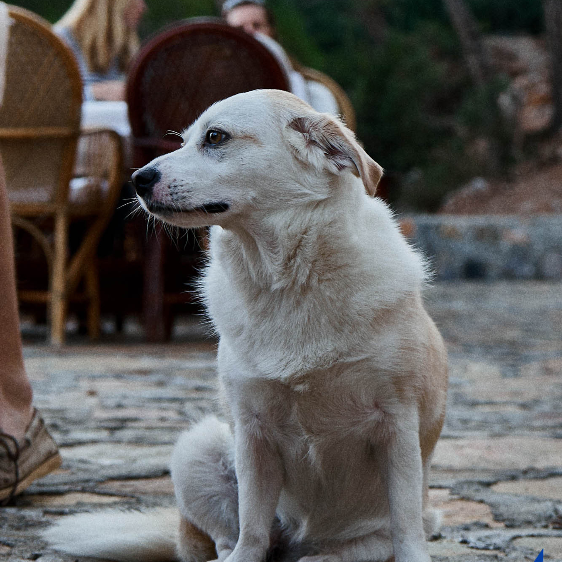 Яхтинг. Коммерческий фотограф Николай Кандалов. Коммерческий фотограф Николай Кандалов