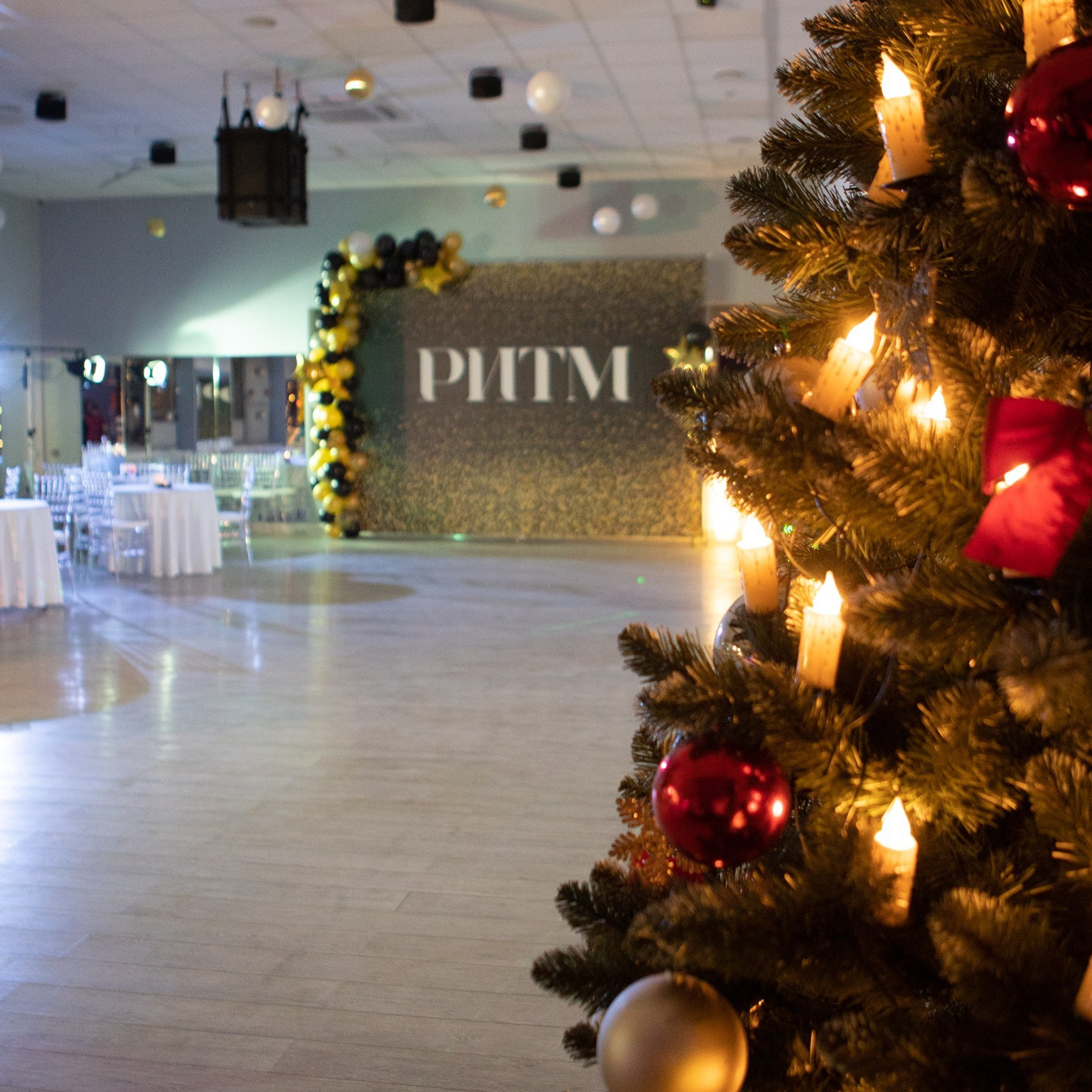 Отзывы о фотосессии. Фотограф в Москве