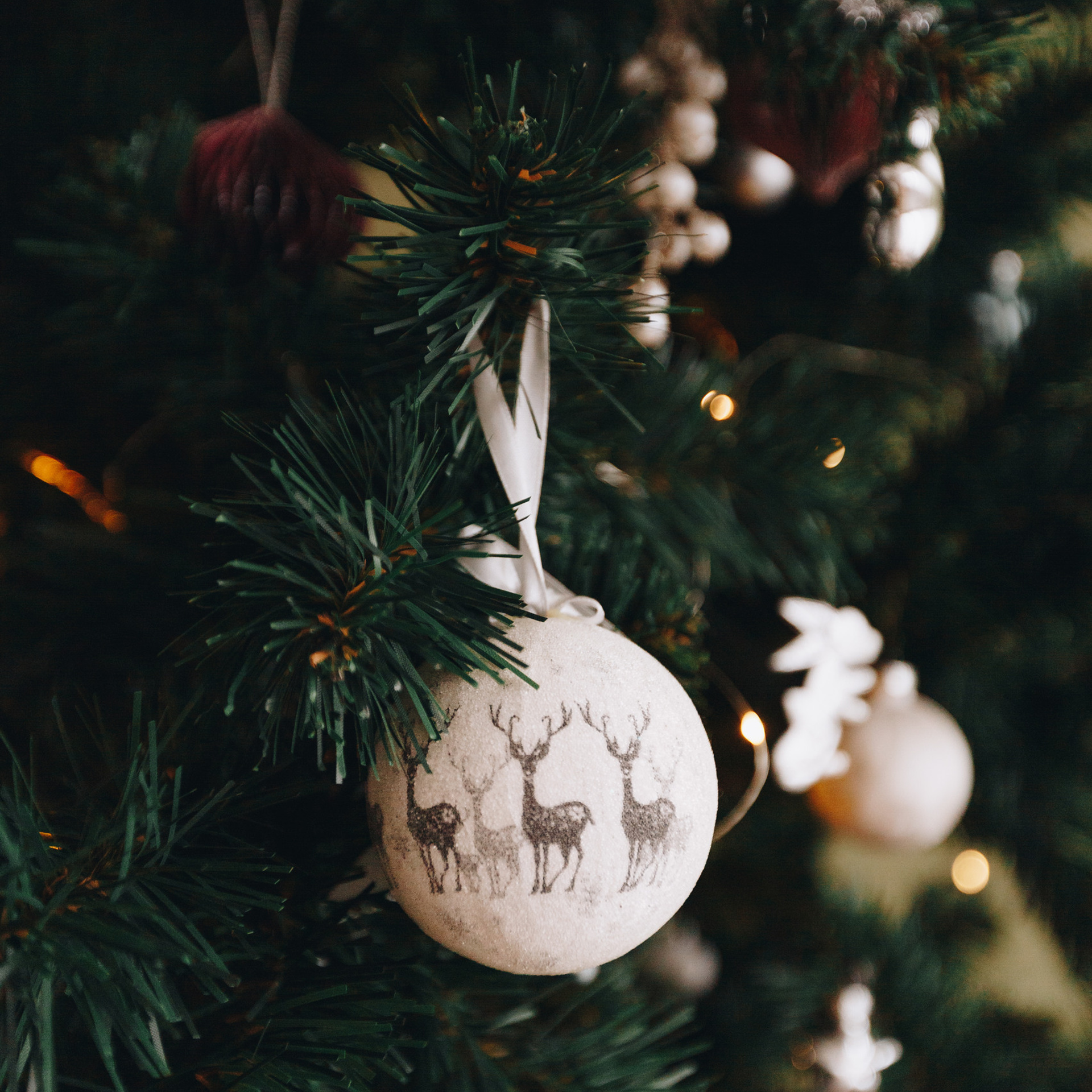 Отзывы. Свадебный семейный фотограф и видеограф Гомель Минск Беларусь Европа