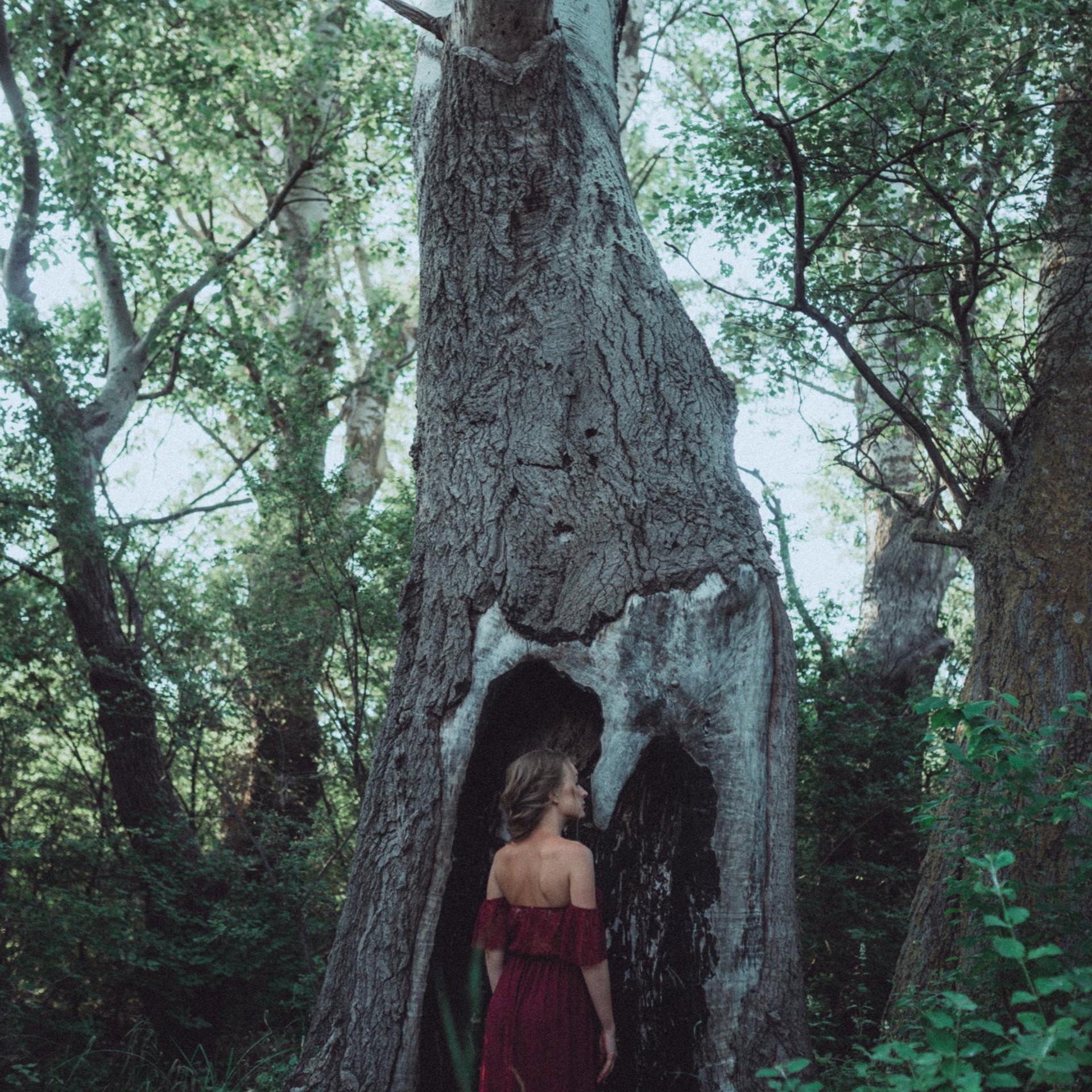 Отзывы. Свадебный и семейный фотограф город Темрюк Фотостудия Темрюк