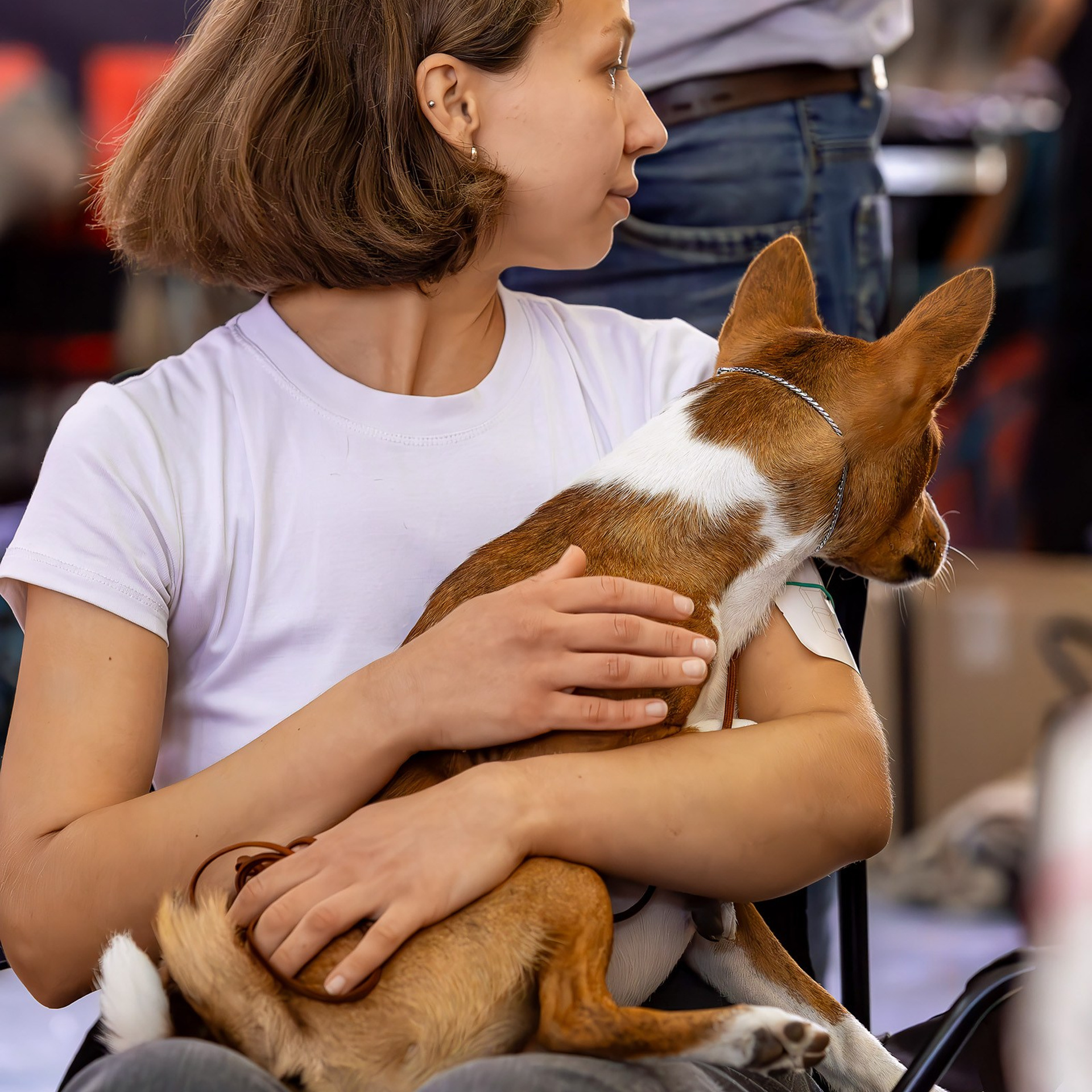 15 сентября 2024, Выставка РКФ, г. Ижевск