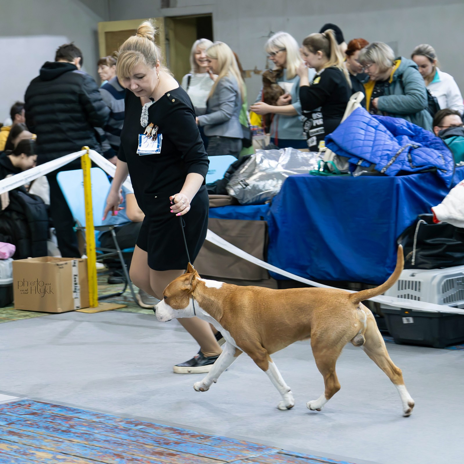 Отзывы. Htykk_photo