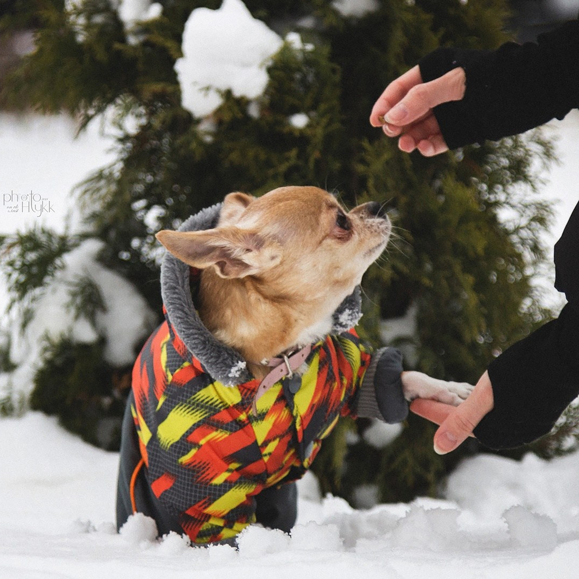 Отзывы. Htykk_photo