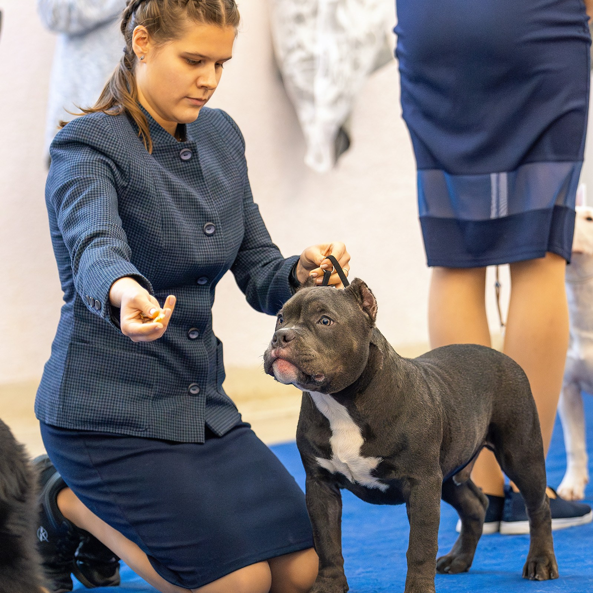 10 ноября 2024, Выставка РКФ, г. Пермь