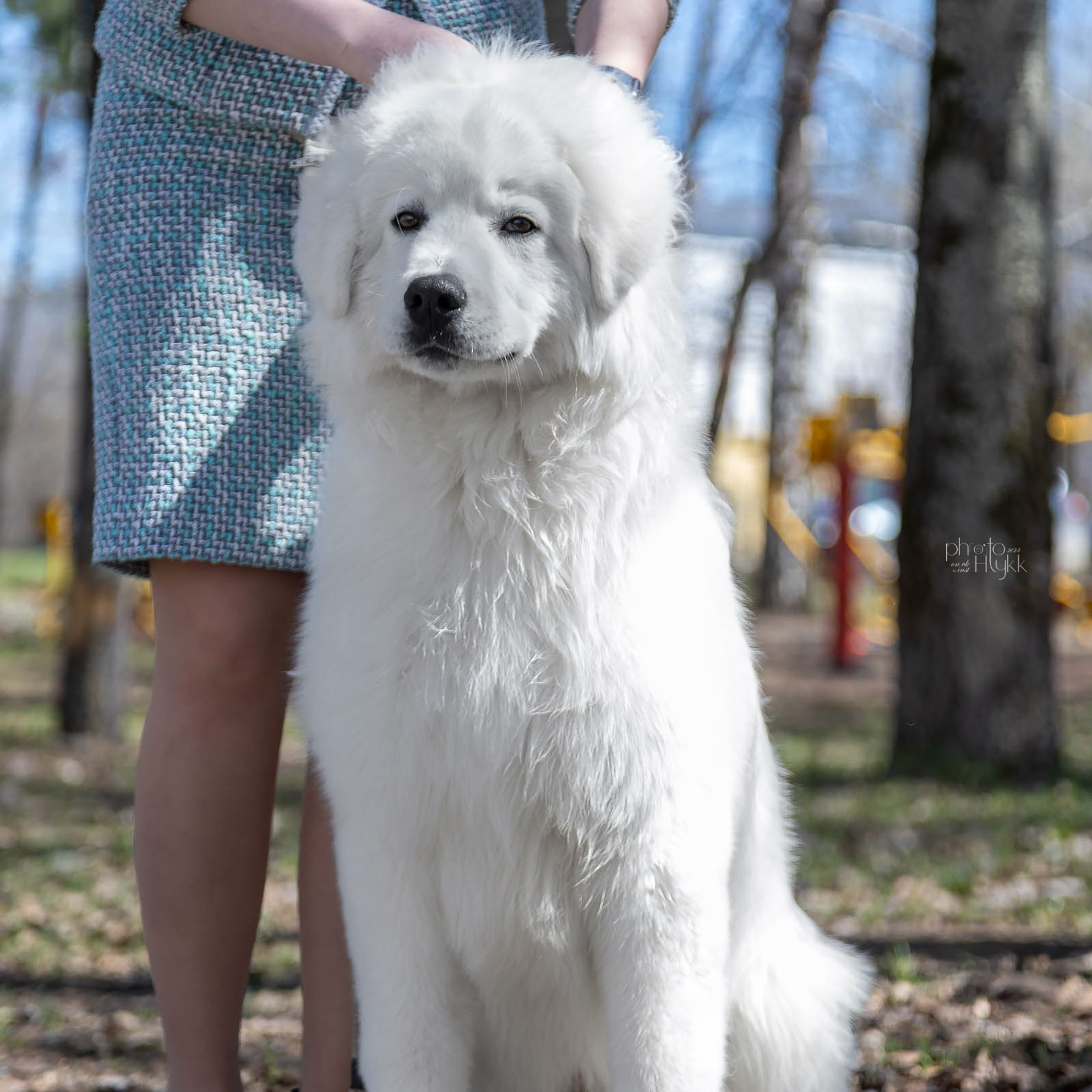 29 апреля 2024, Выставка РКФ, г. Пермь