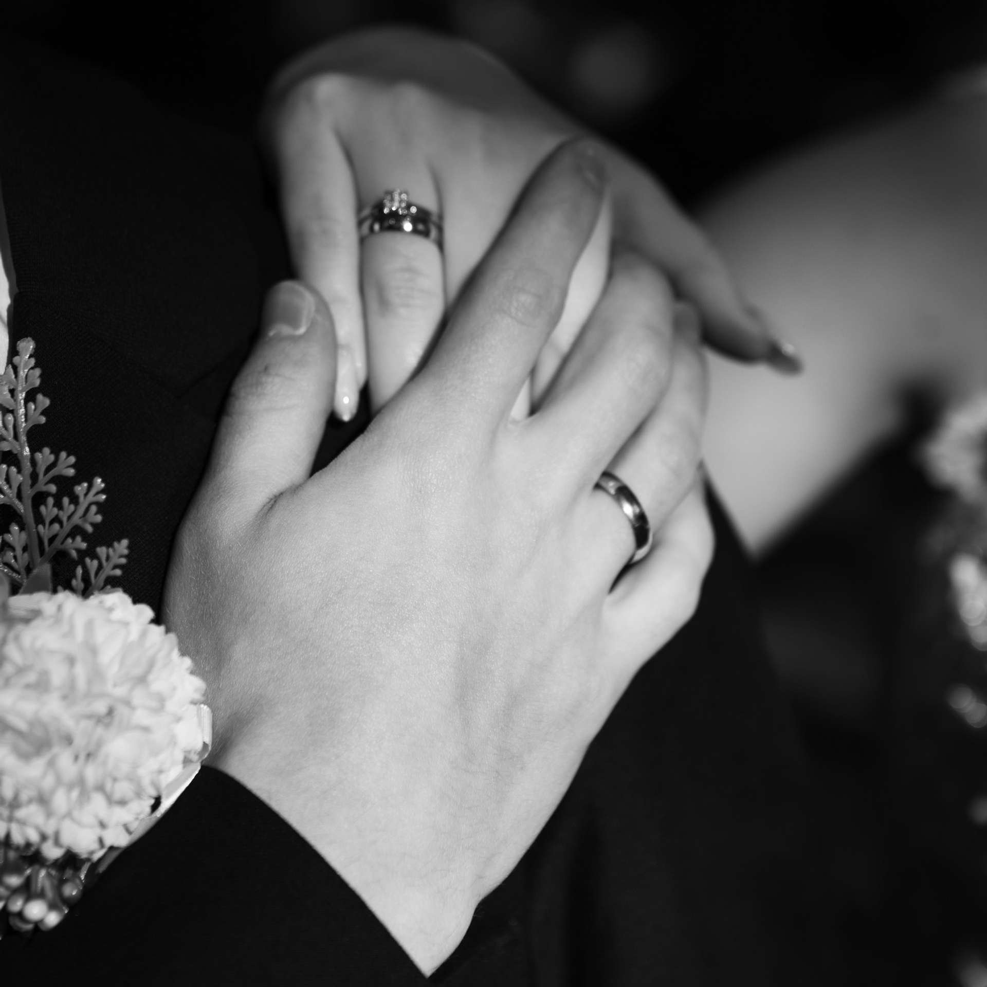 Отзывы. Фотограф, Таганрог, Руслан Степущенко