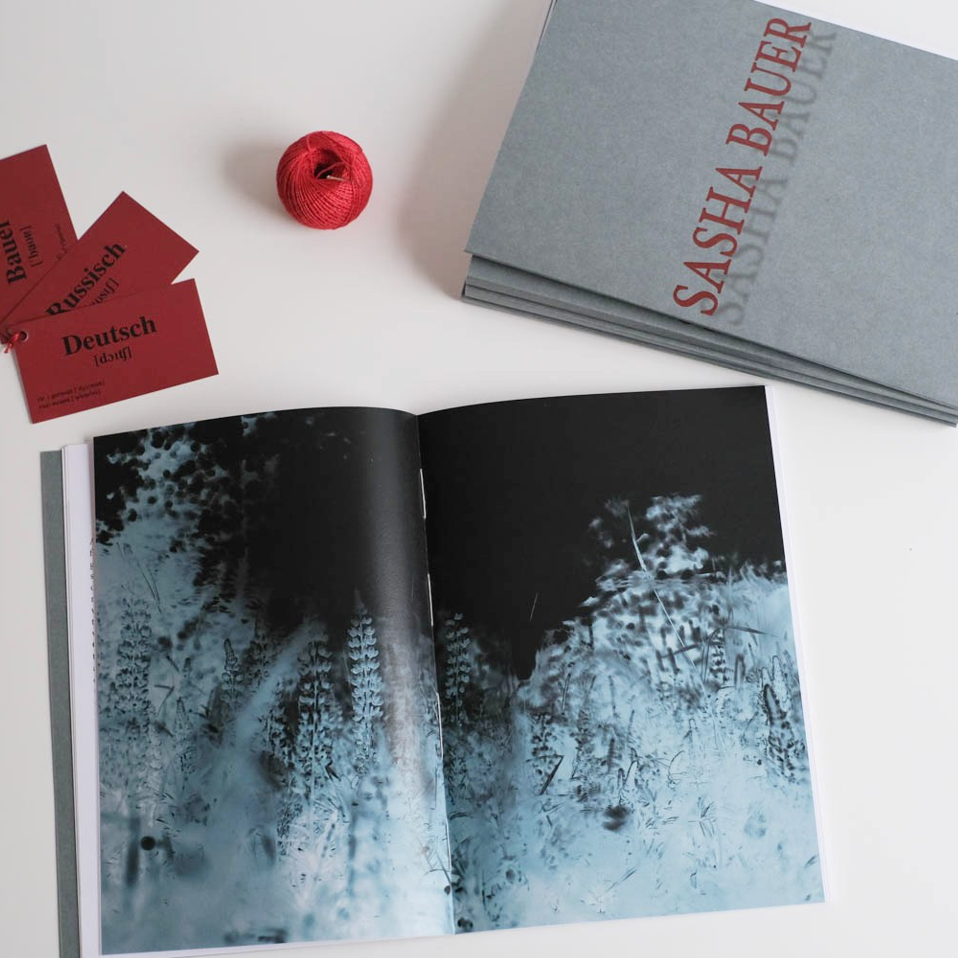 Фотокнига «Sasha Bauer». Фотосессии в г. Пушкин Саша Бауэр | Фотопроекты