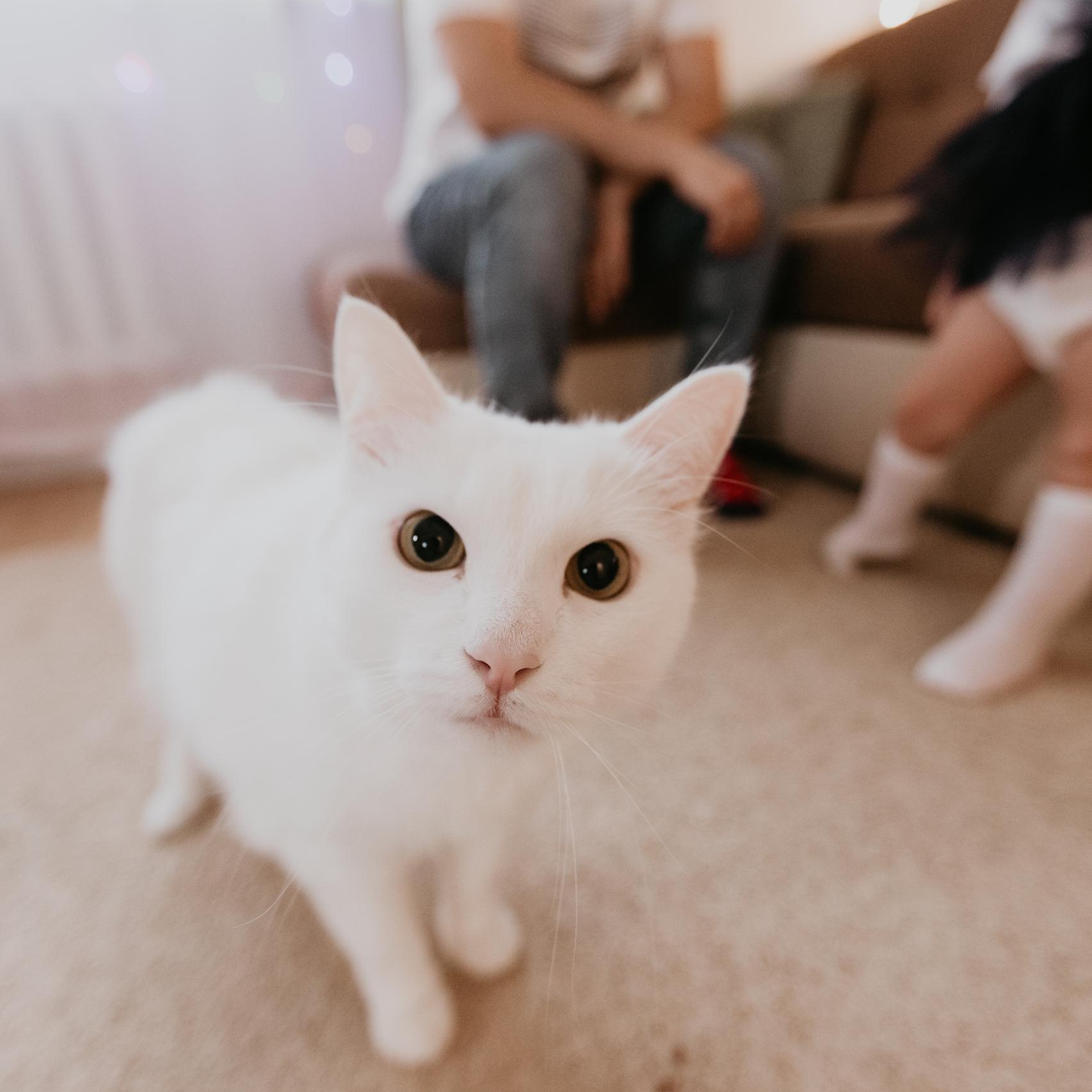 Отзывы. Фотограф Авилова Дарья ● Тюмень● Съемка больших семей ●Архив поколений