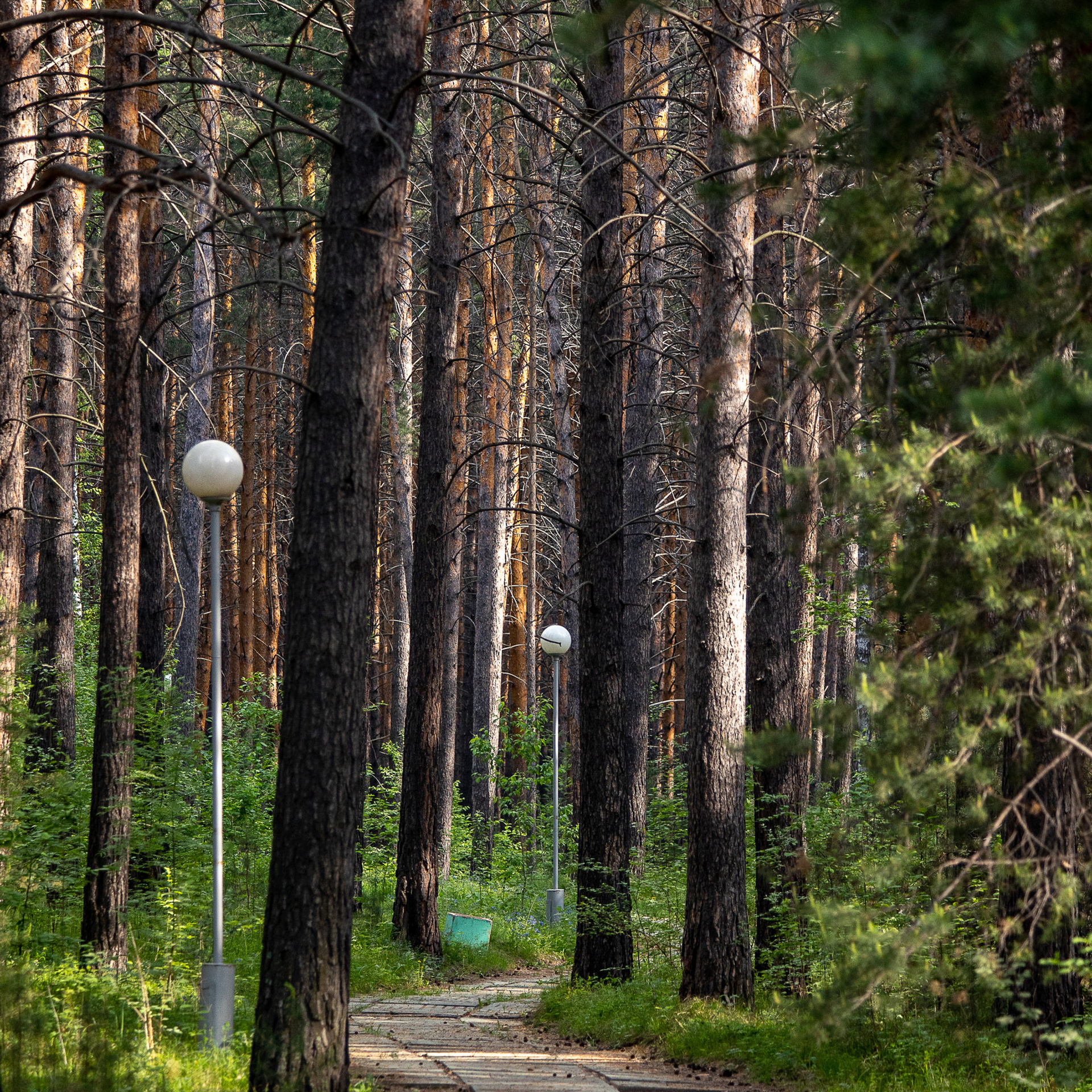 Отзывы. Фотограф в Красноярске