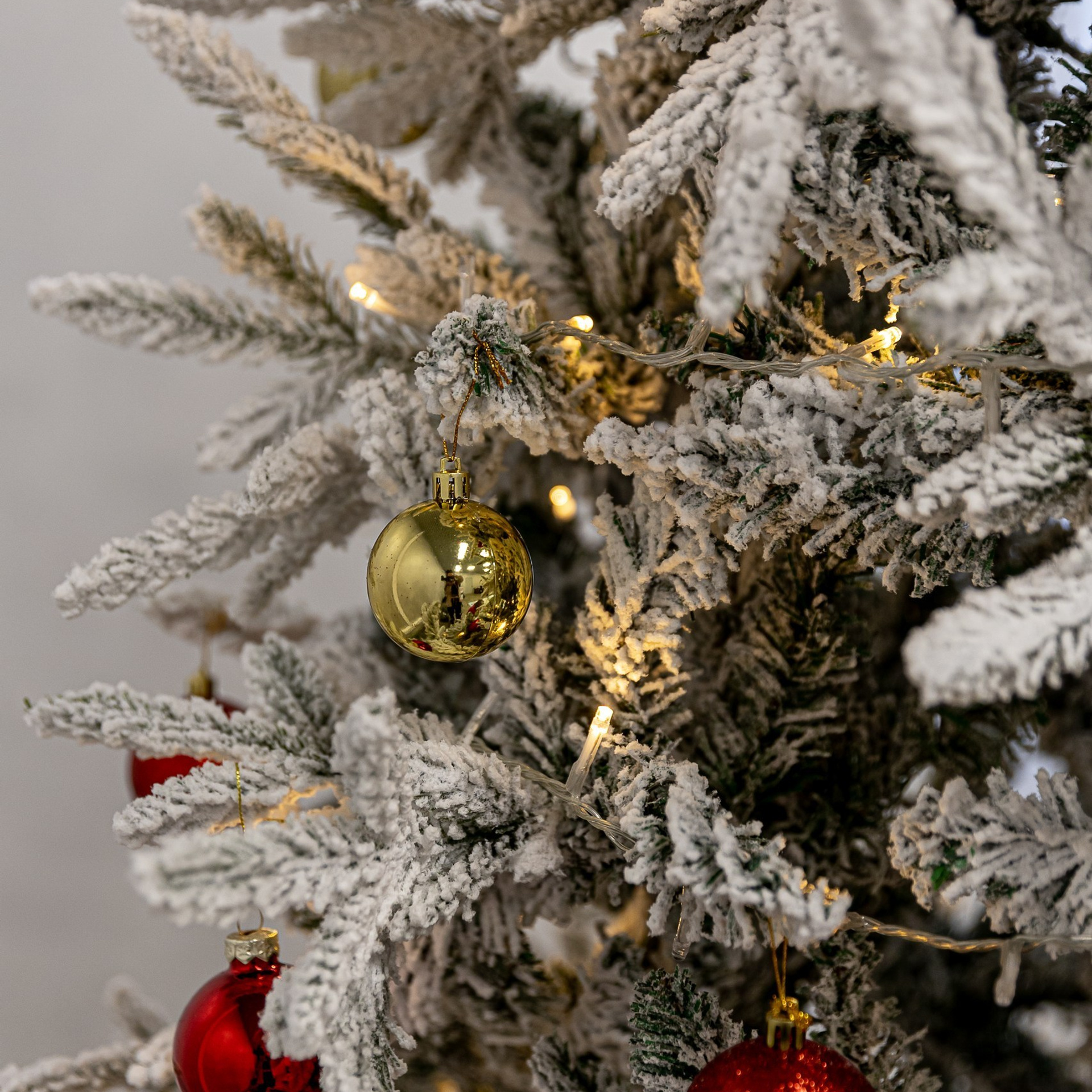 Отзывы. Фотограф в Красноярске