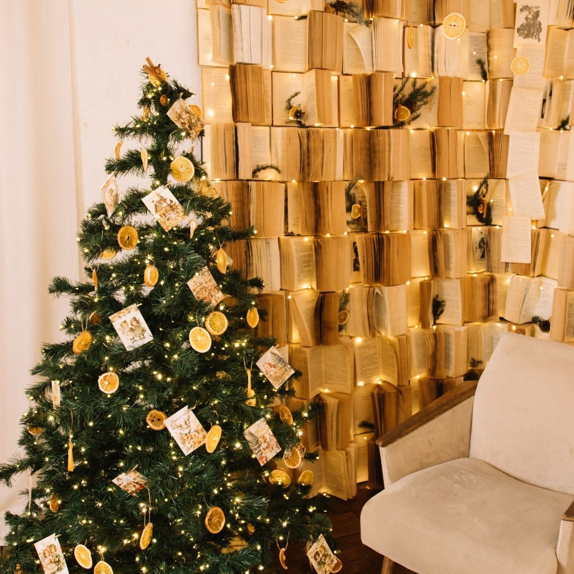 Фотостудии Красноярска. Актуальный декор в декабре 2024. Фотограф Регина Крикунова г. Красноярск