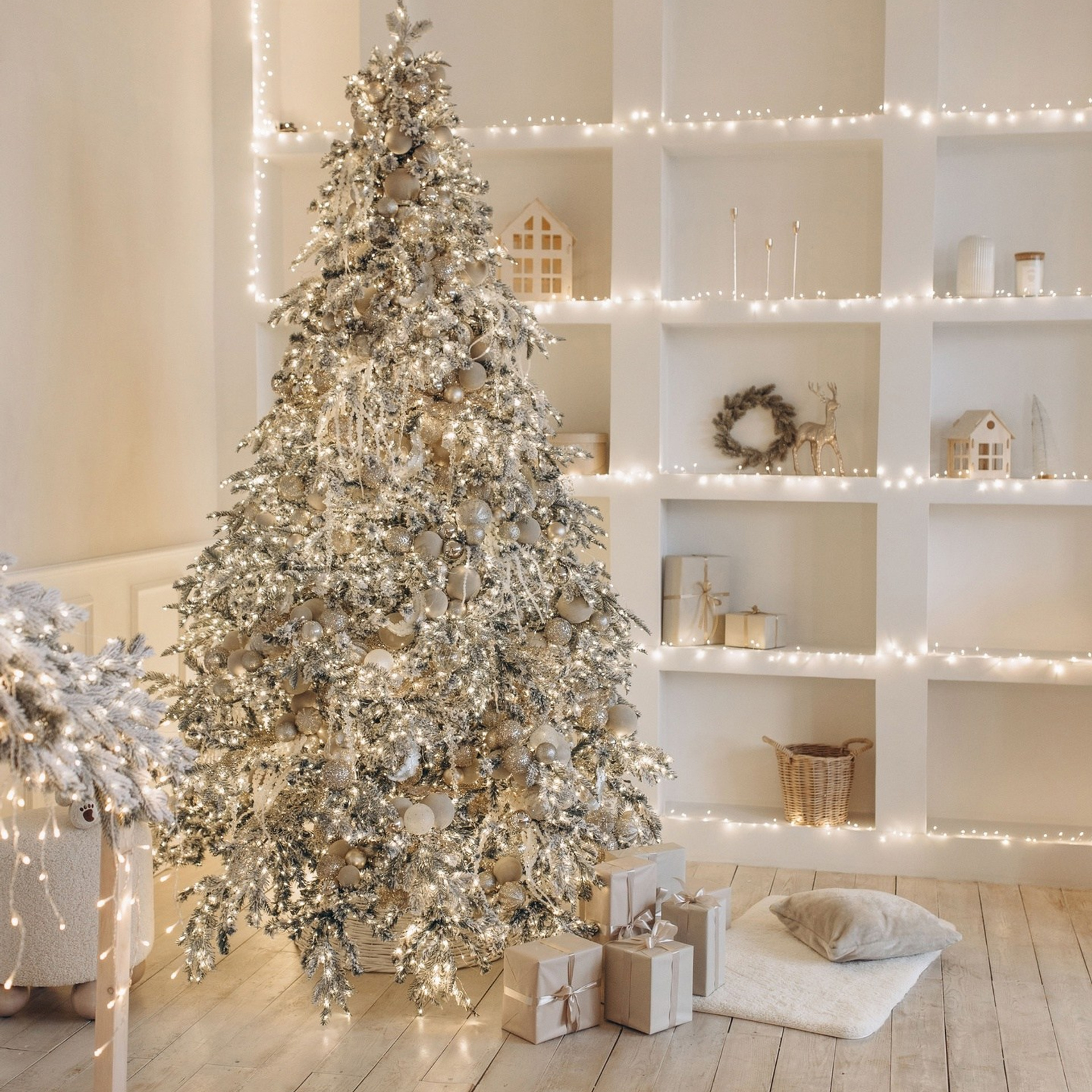 Фотостудии Красноярска. Актуальный декор в декабре 2024. Фотограф Регина Крикунова г. Красноярск