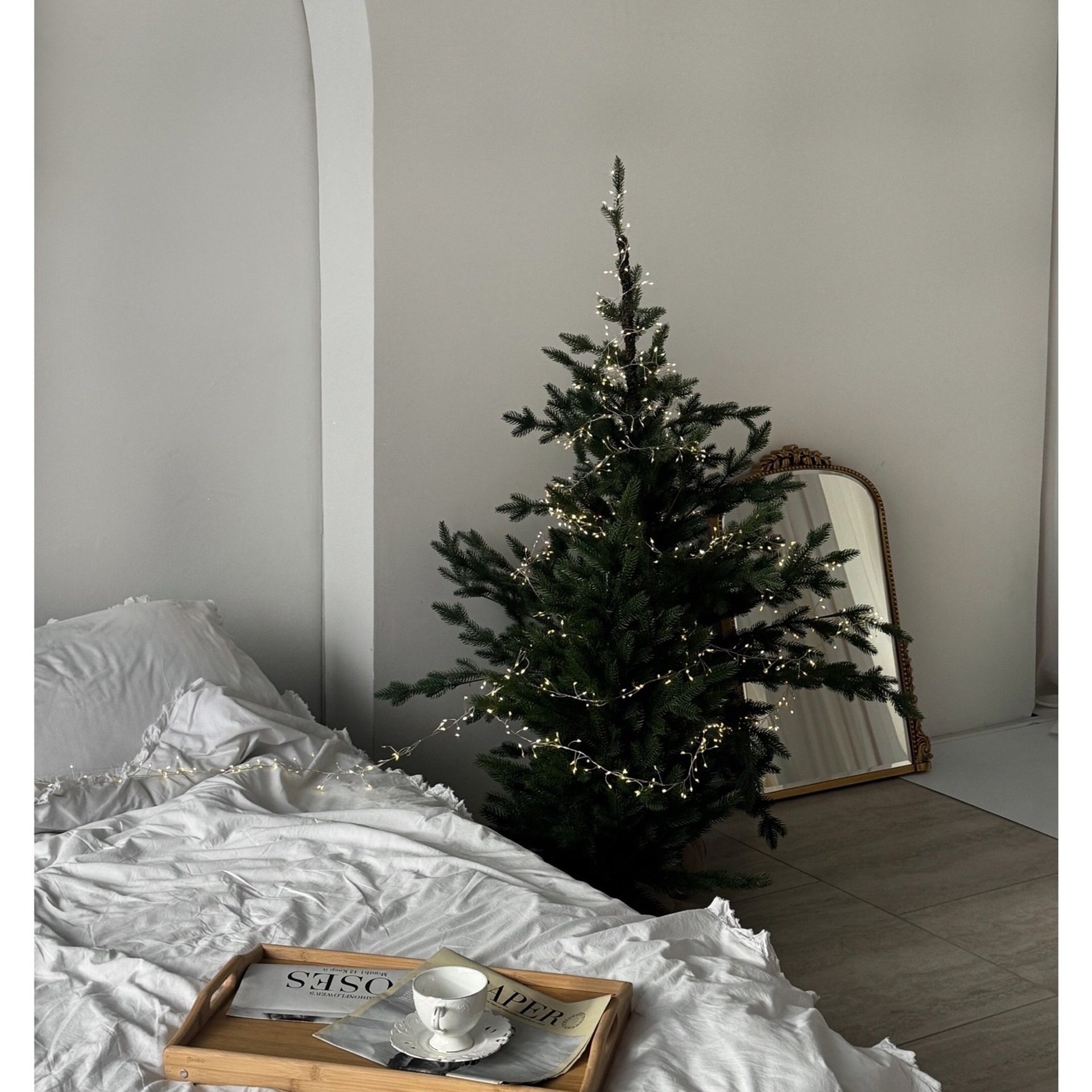 Фотостудии Красноярска. Актуальный декор в декабре 2024. Фотограф Регина Крикунова г. Красноярск