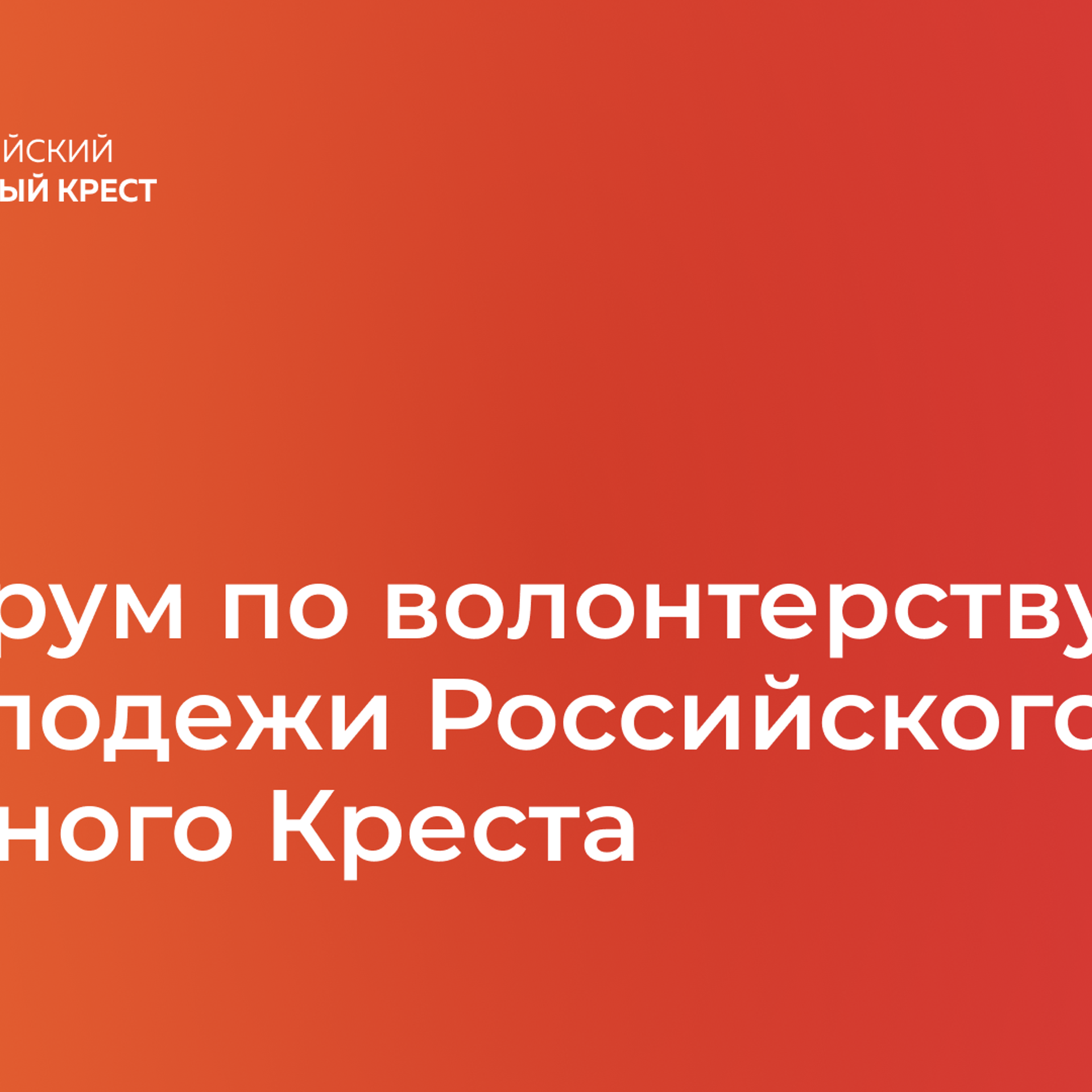 Отзывы. Видеограф в Москве и Подмосковье Наташа Андрианова