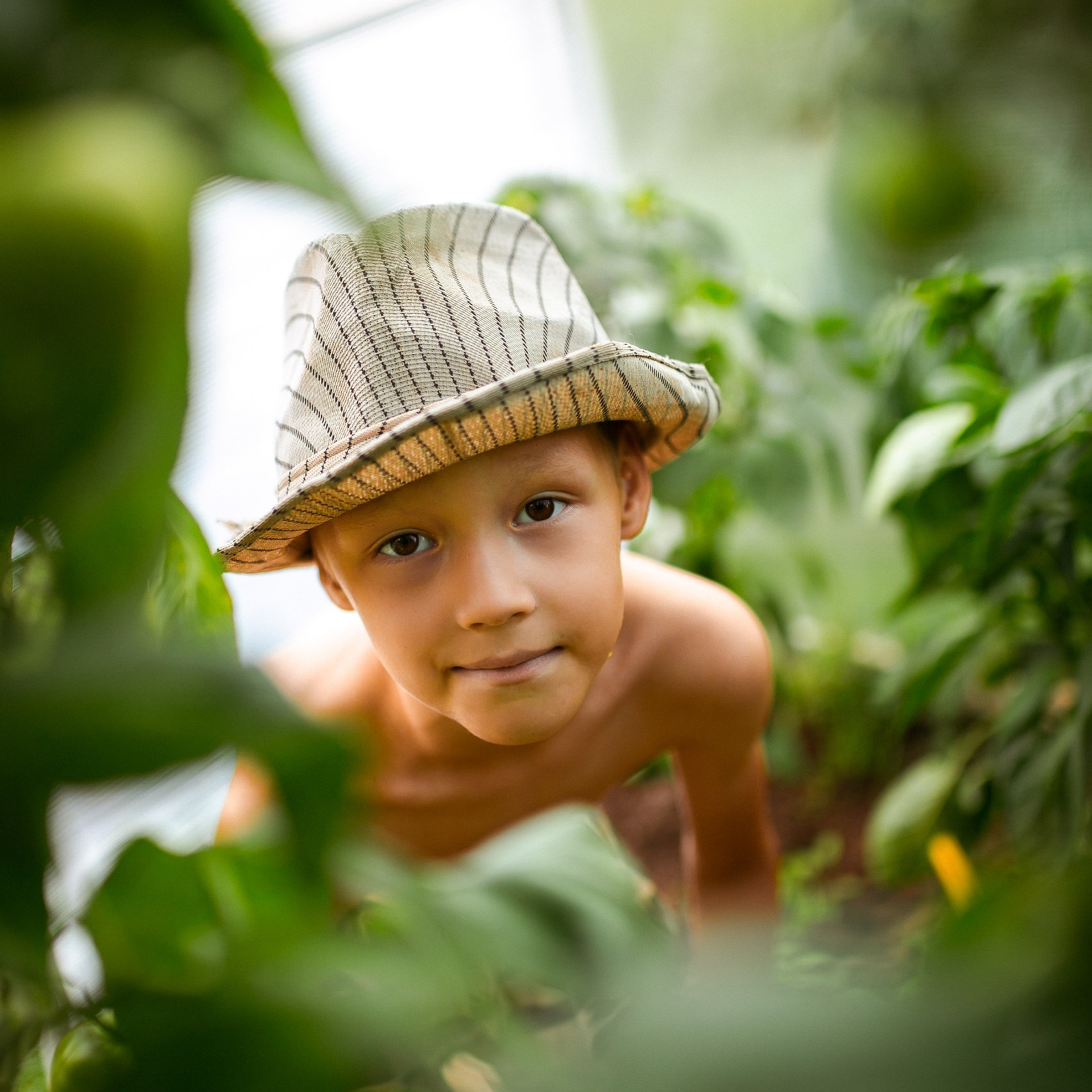 Бабушкин помощник