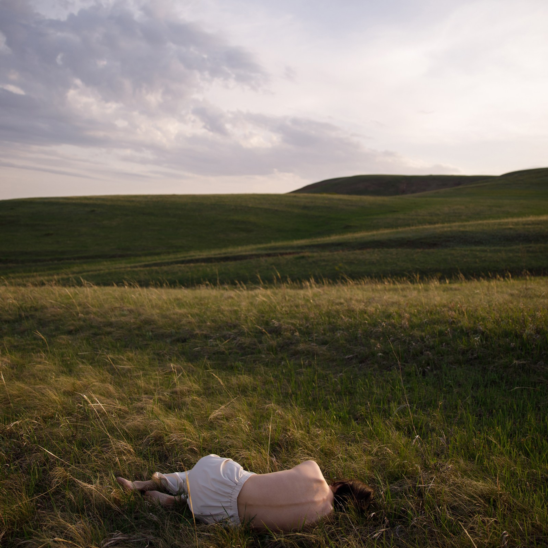 Дотянуться до небес