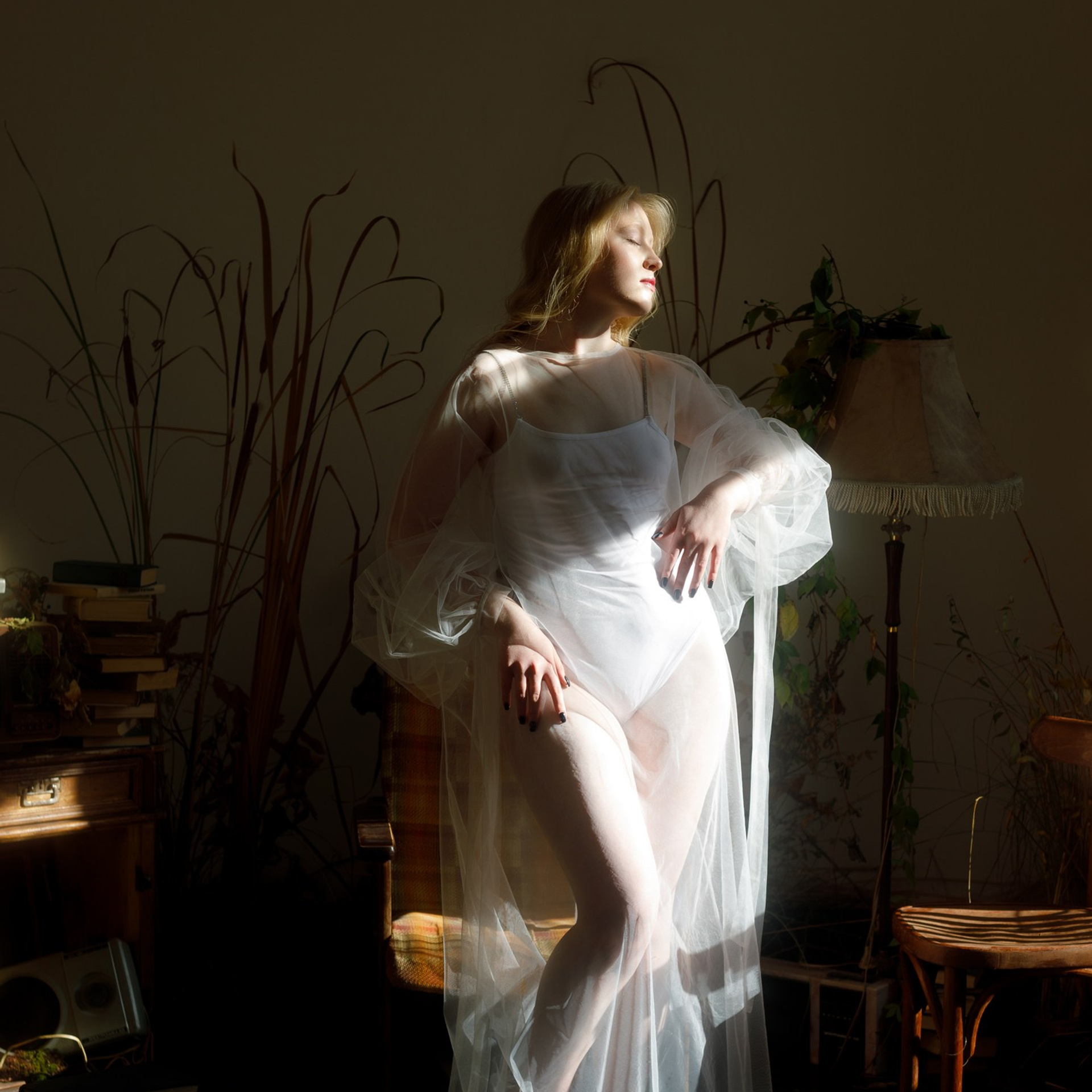 Принцесса-Лебедь и сон в осенних лучах