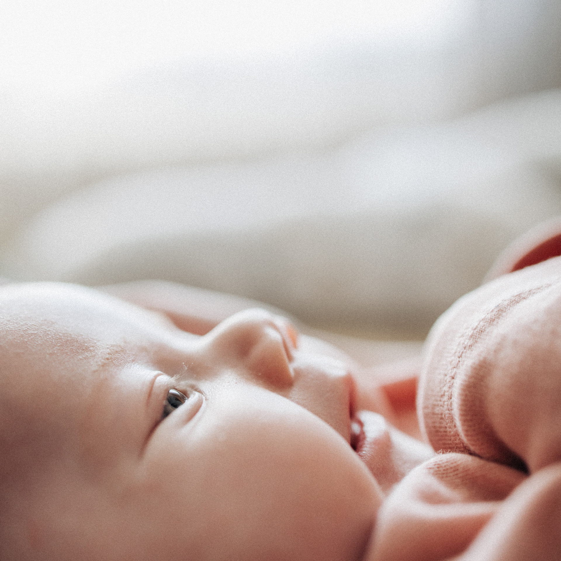 Отзывы. Семейный и свадебный фотограф Viva Photo