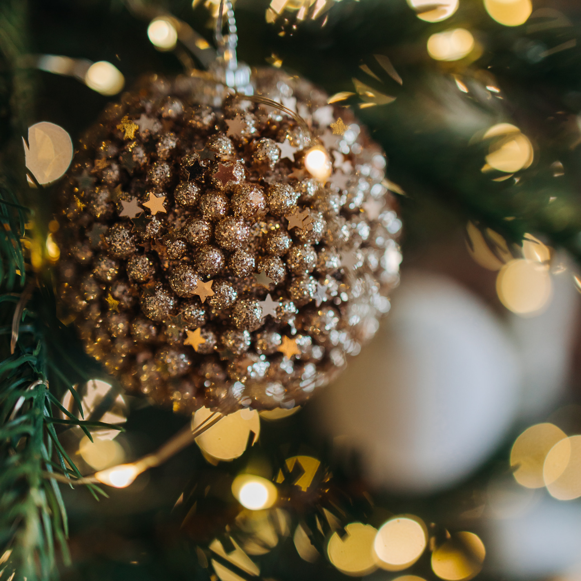 Отзывы. Семейный и свадебный фотограф Viva Photo