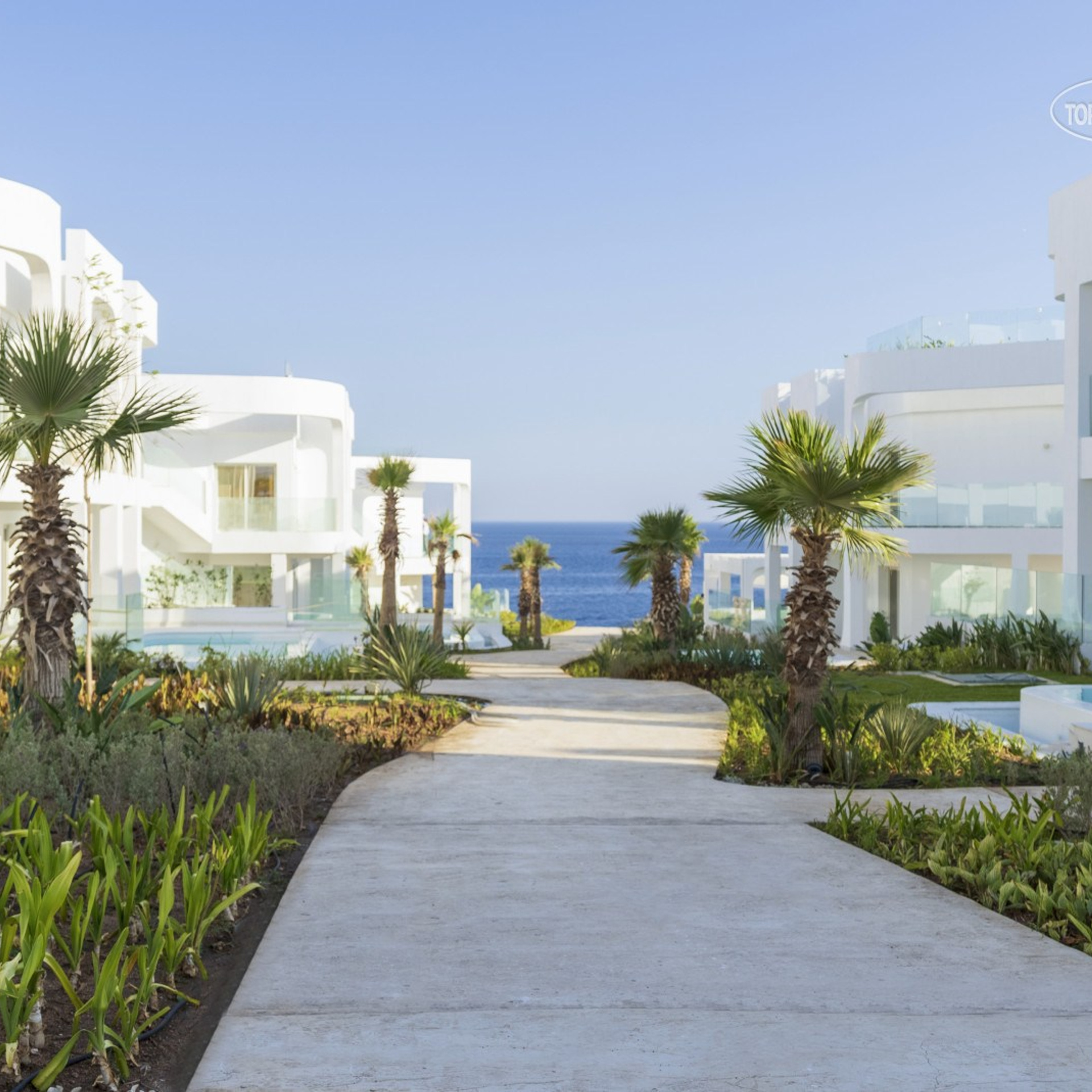 ФОТО ДЕВИЧНИК В ЕГИПЕТ. Детский и семейный фотограф Нижнего Новгорода и Москвы Олеся Ратникова