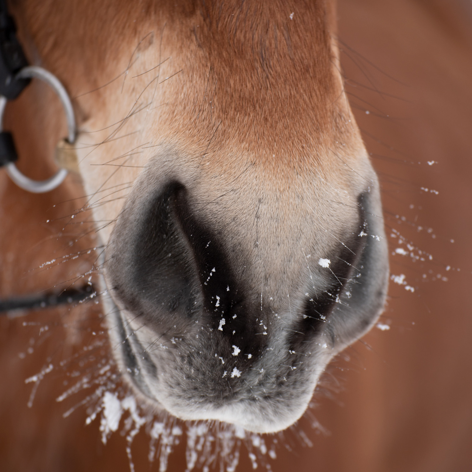 Ваши отзывы. Фотограф в Санкт-Петербурге Светлана Балабанова
