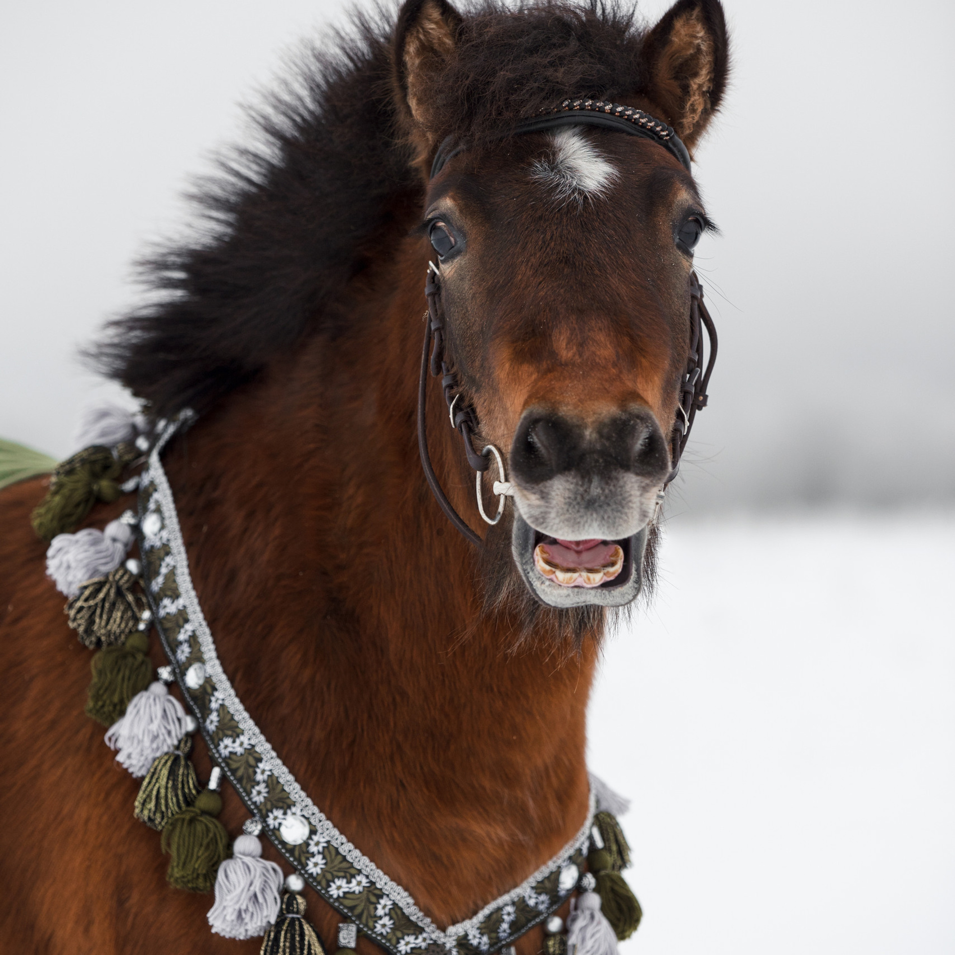 Ваши отзывы. Фотограф в Санкт-Петербурге Светлана Балабанова